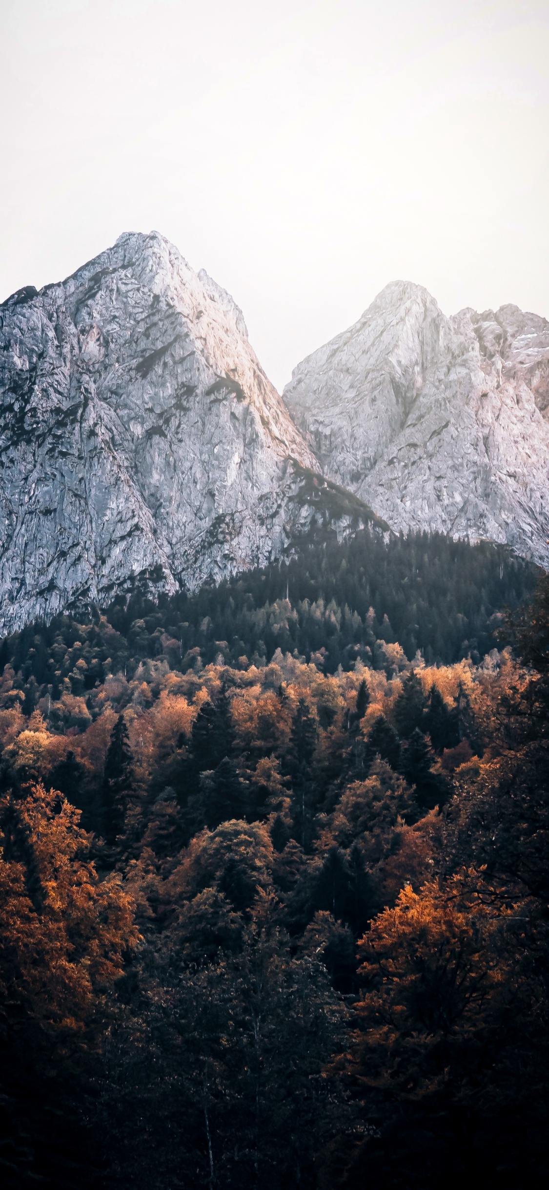 Обои Бавария, растительное сообщество, гора, облако, природный ландшафт в разрешении 1125x2436