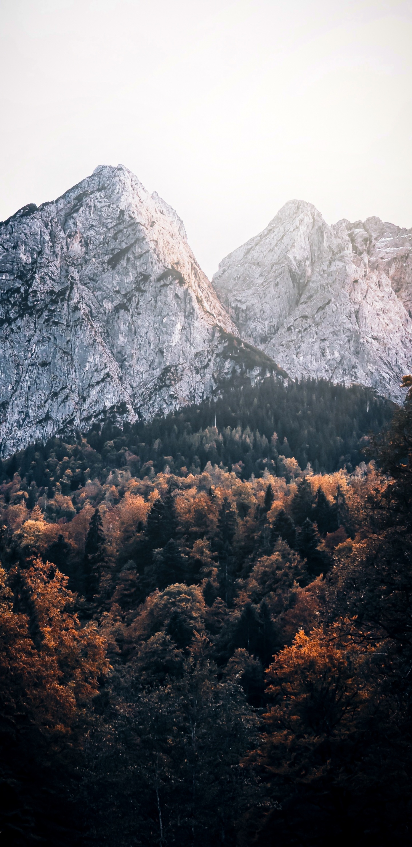Обои Бавария, растительное сообщество, гора, облако, природный ландшафт в разрешении 1440x2960