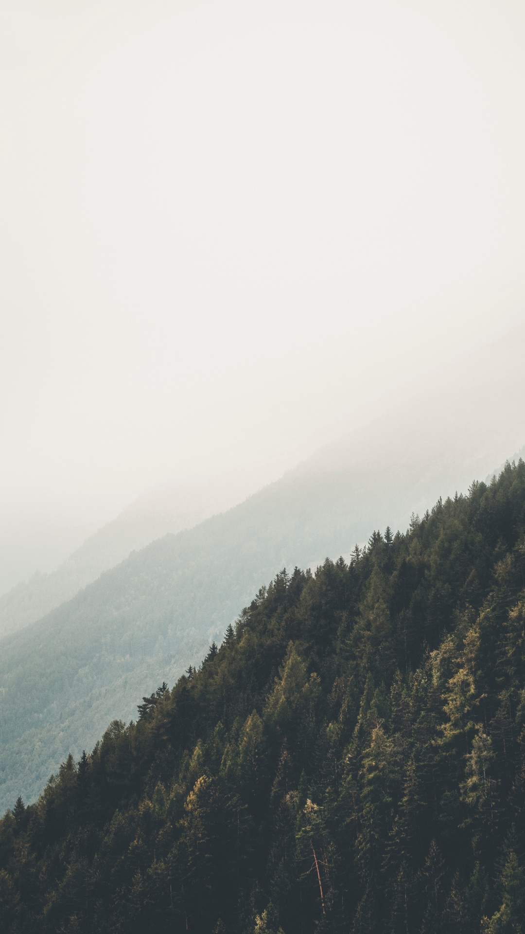 Обои горный рельеф, окружающая среда, дикая местность, облако, дерево в разрешении 1080x1920