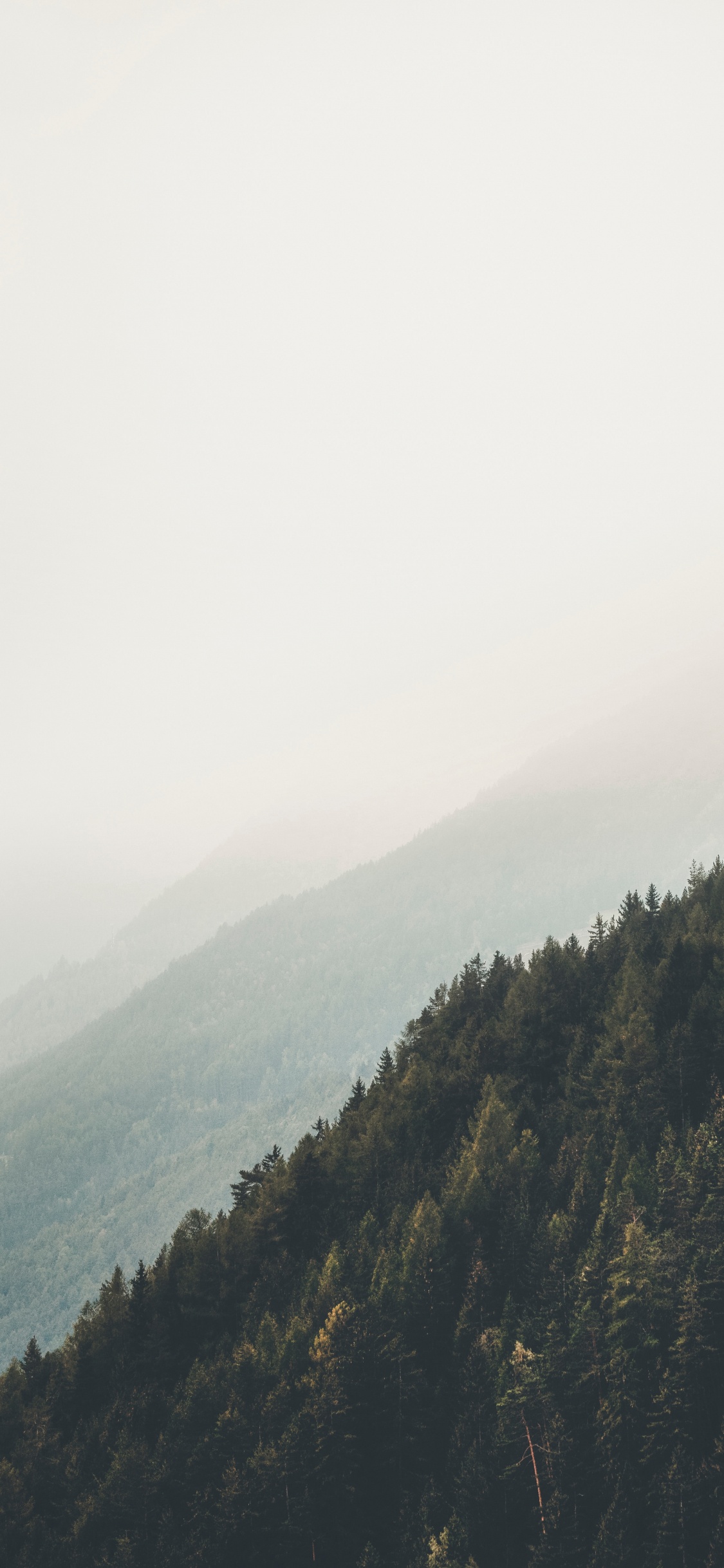 Обои горный рельеф, окружающая среда, дикая местность, облако, дерево в разрешении 1125x2436