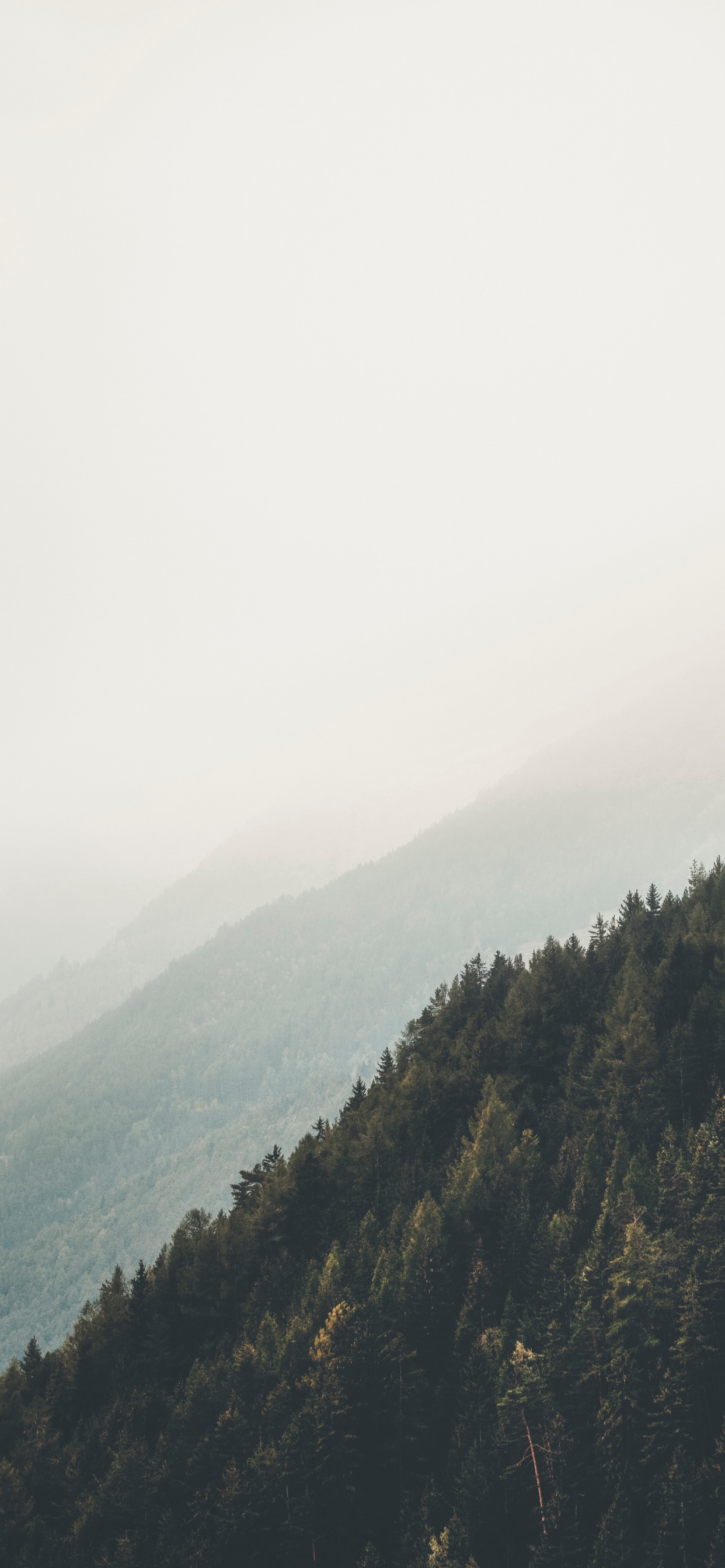 Обои горный рельеф, окружающая среда, дикая местность, облако, дерево в разрешении 1242x2688