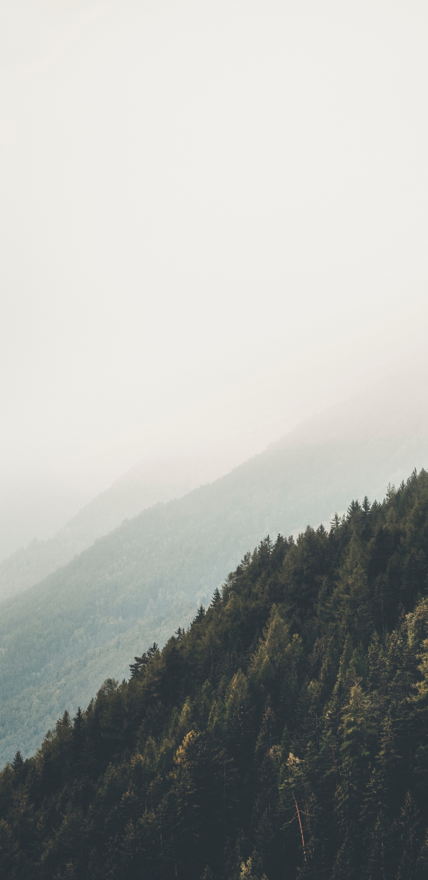 Обои горный рельеф, окружающая среда, дикая местность, облако, дерево в разрешении 1440x2960