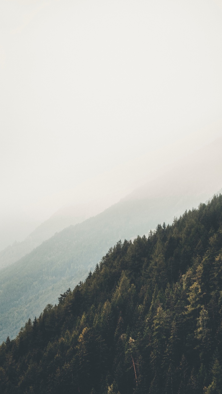 Обои горный рельеф, окружающая среда, дикая местность, облако, дерево в разрешении 720x1280