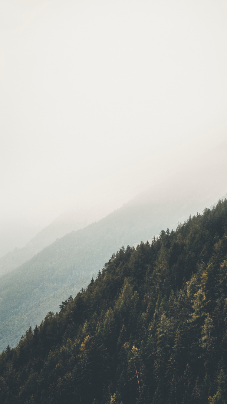 Обои горный рельеф, окружающая среда, дикая местность, облако, дерево в разрешении 750x1334