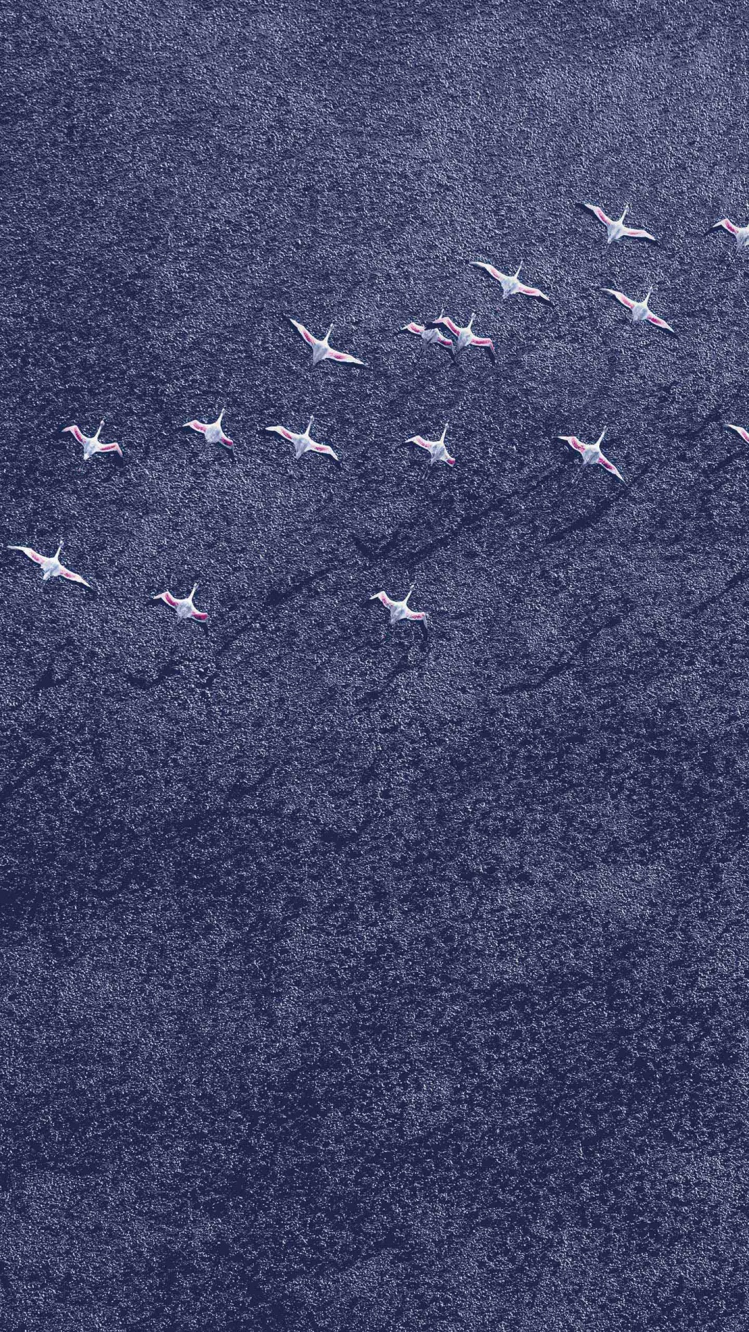 Обои Андроид Орео, гугл нексус, Google, синий, джинсовая ткань в разрешении 1080x1920