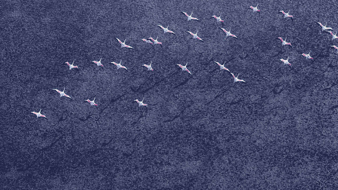 Обои Андроид Орео, гугл нексус, Google, синий, джинсовая ткань в разрешении 1280x720