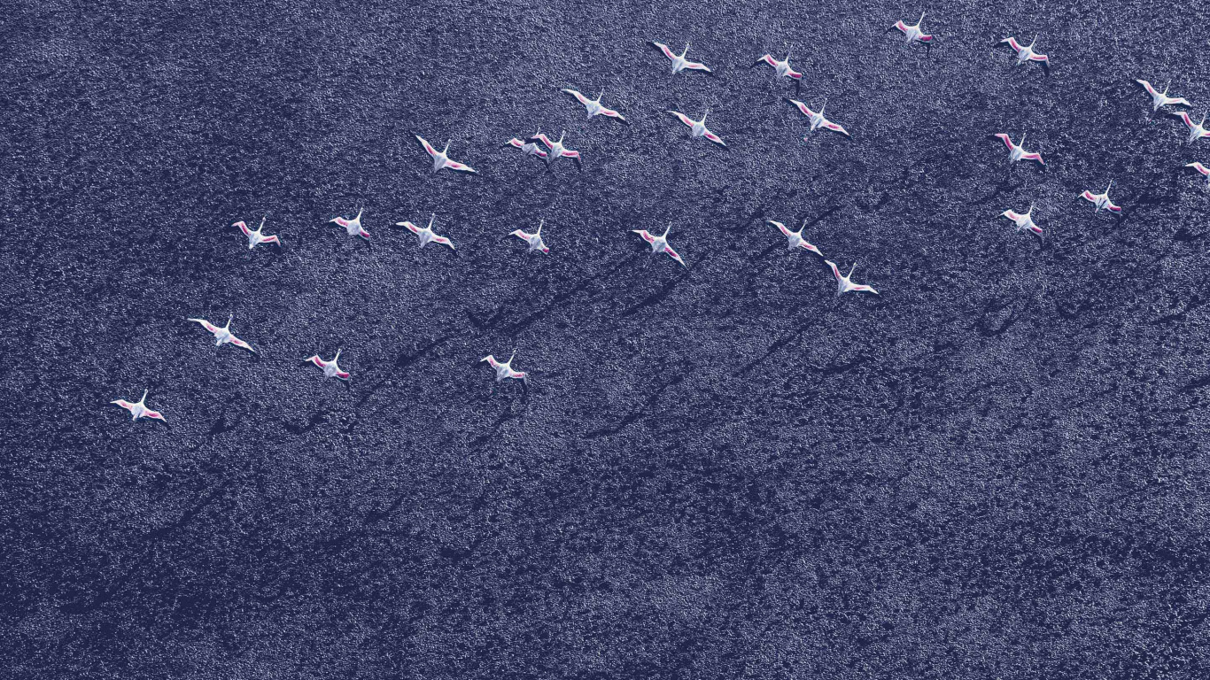 Обои Андроид Орео, гугл нексус, Google, синий, джинсовая ткань в разрешении 1366x768