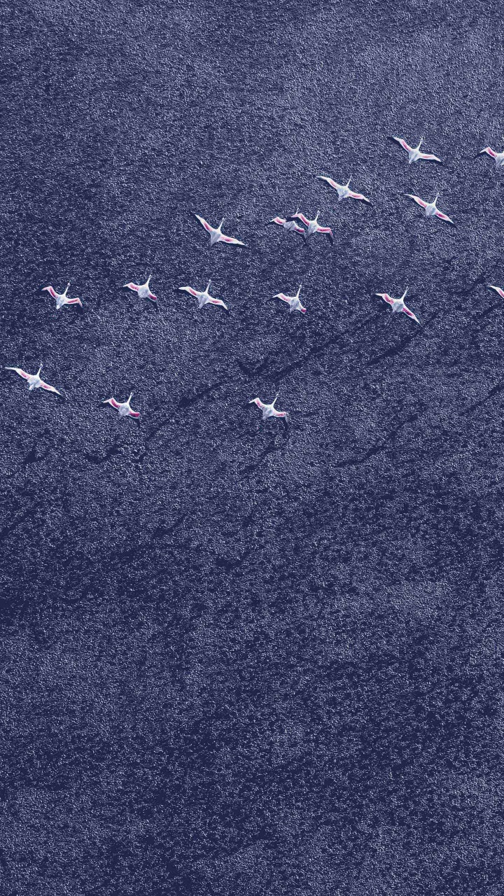 Обои Андроид Орео, гугл нексус, Google, синий, джинсовая ткань в разрешении 720x1280