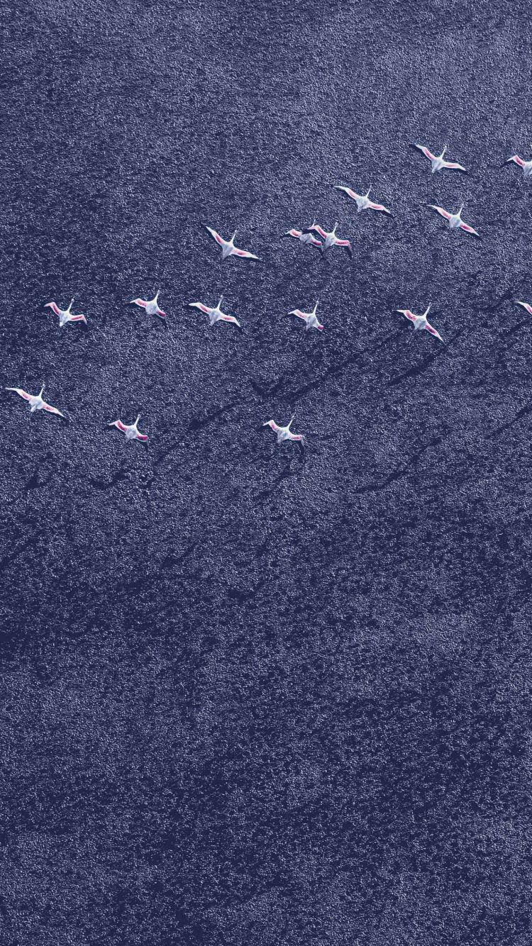 Обои Андроид Орео, гугл нексус, Google, синий, джинсовая ткань в разрешении 750x1334