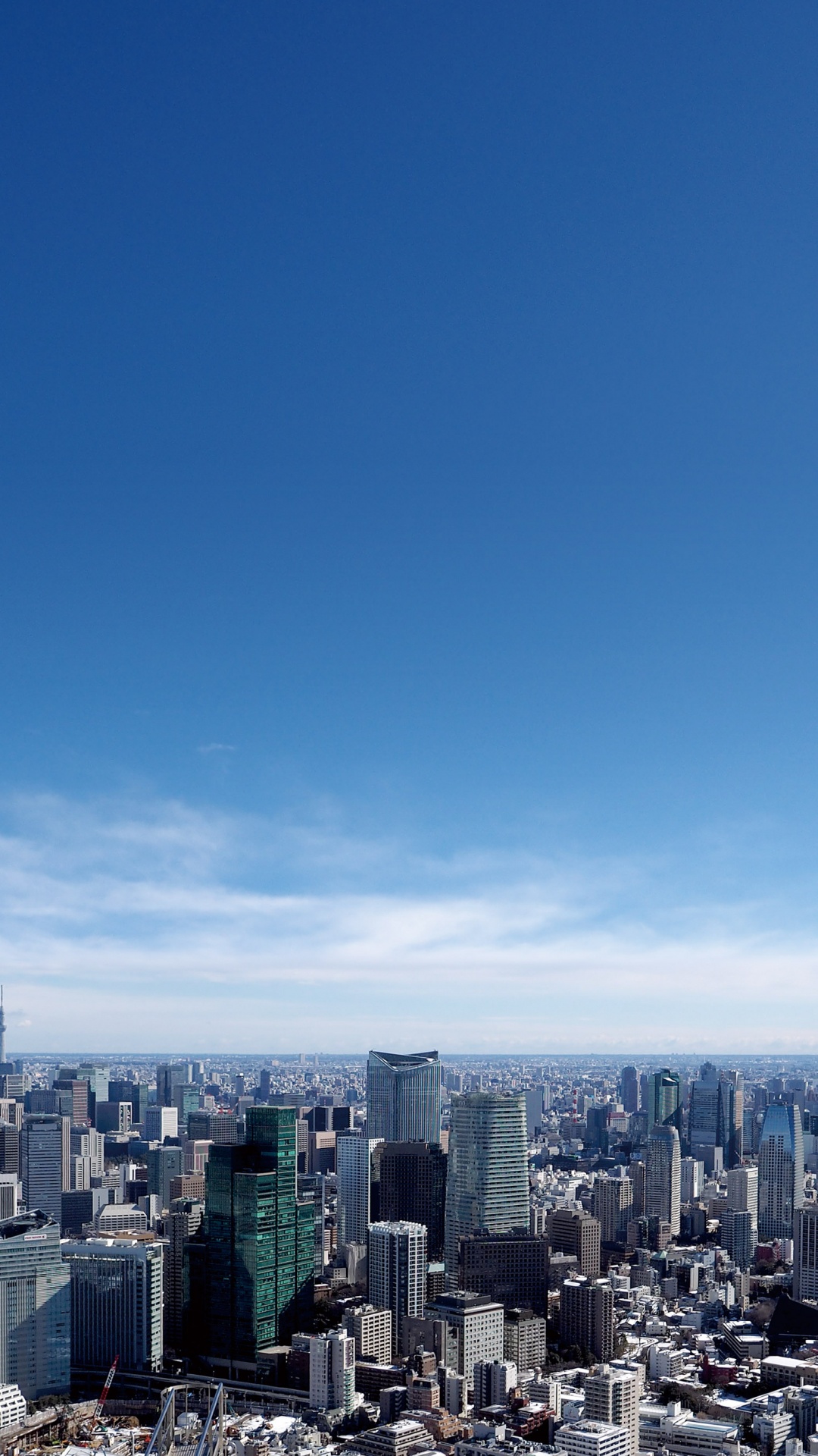 Обои Токио Вид На Город И Смотровую Площадку, городской пейзаж, городской район, город, дневное время в разрешении 1080x1920