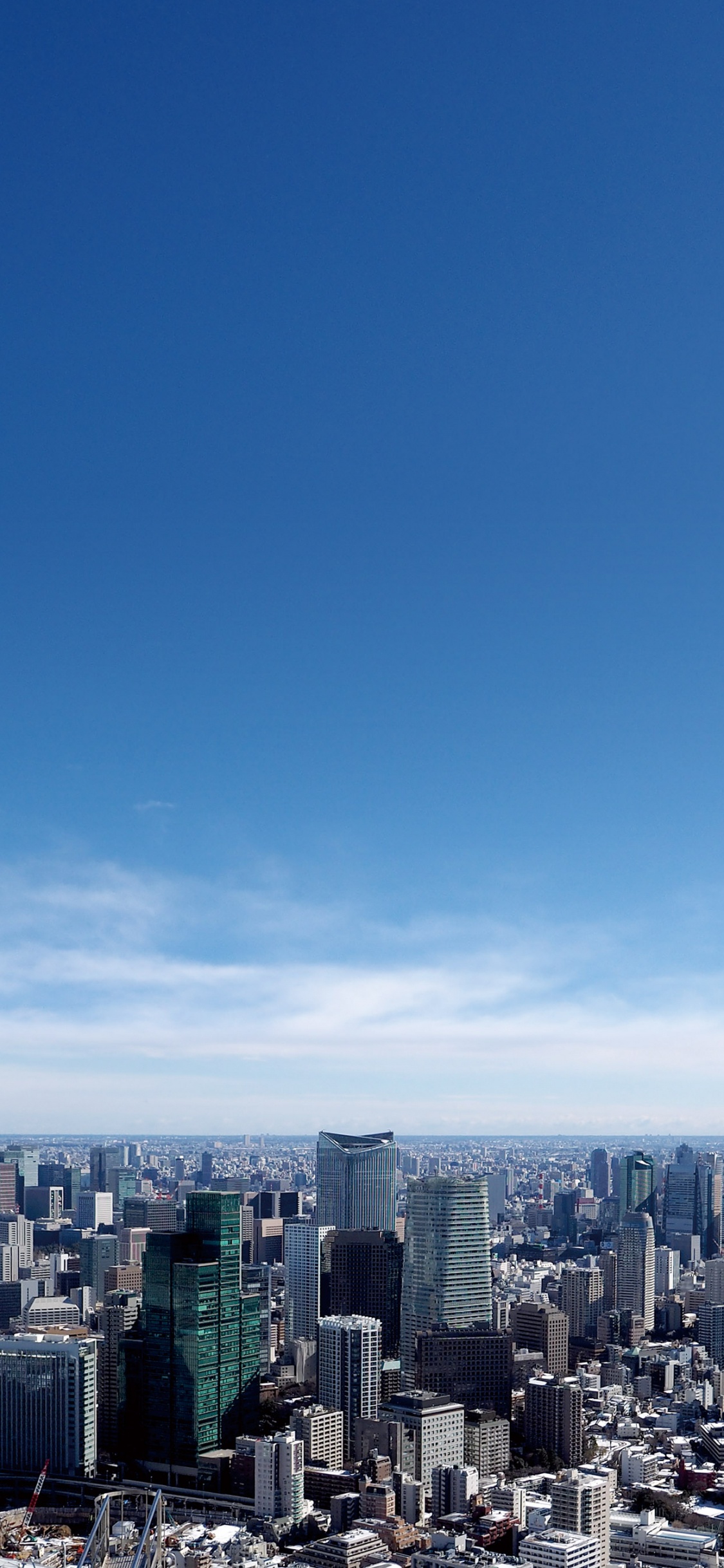 Обои Токио Вид На Город И Смотровую Площадку, городской пейзаж, городской район, город, дневное время в разрешении 1125x2436