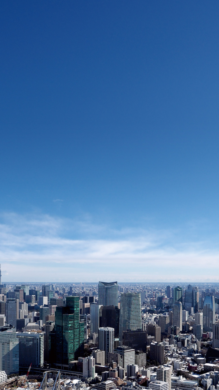 Обои Токио Вид На Город И Смотровую Площадку, городской пейзаж, городской район, город, дневное время в разрешении 750x1334