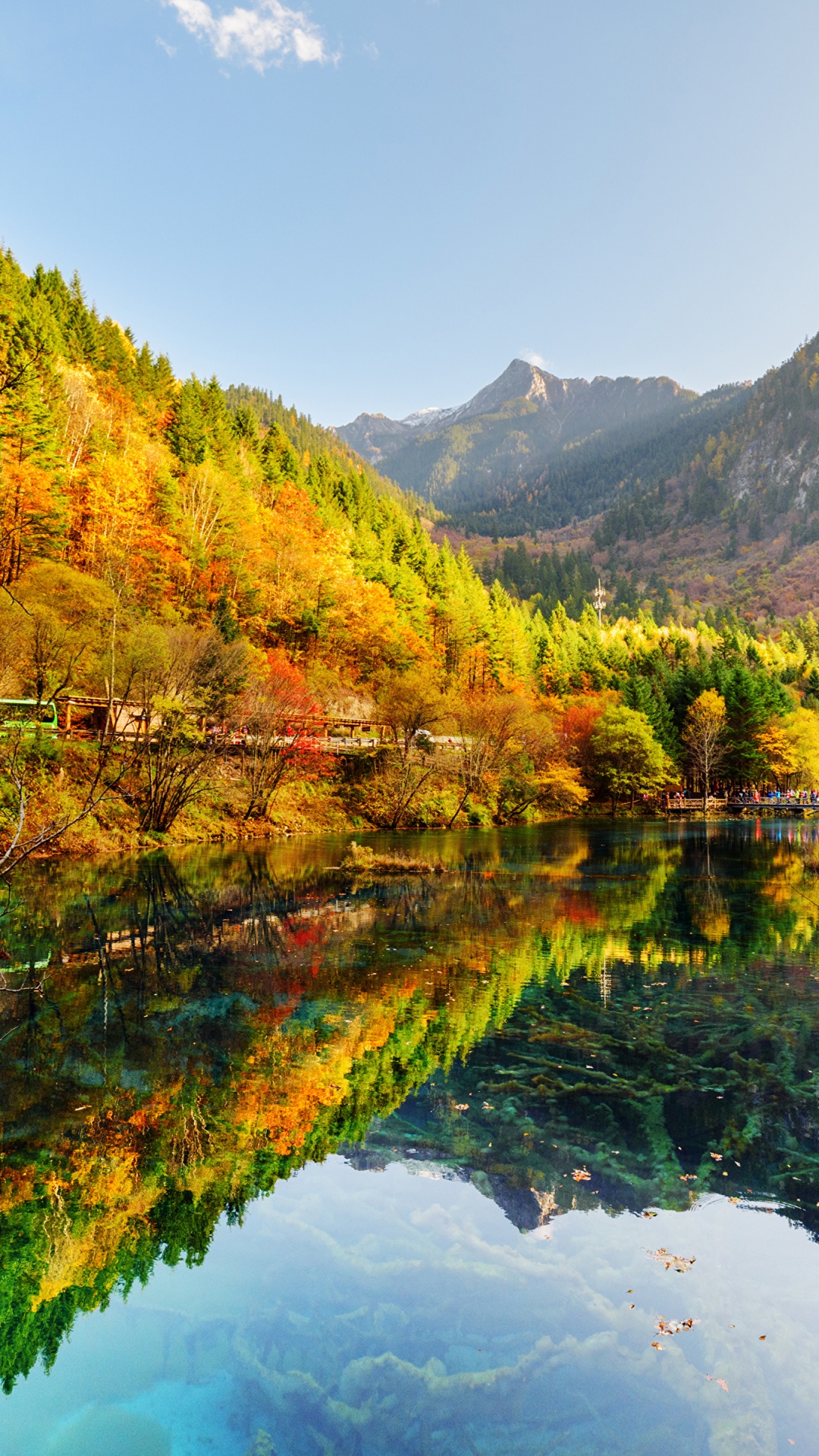 Обои национальный парк, парк, природный заповедник, природа, отражение в разрешении 1080x1920