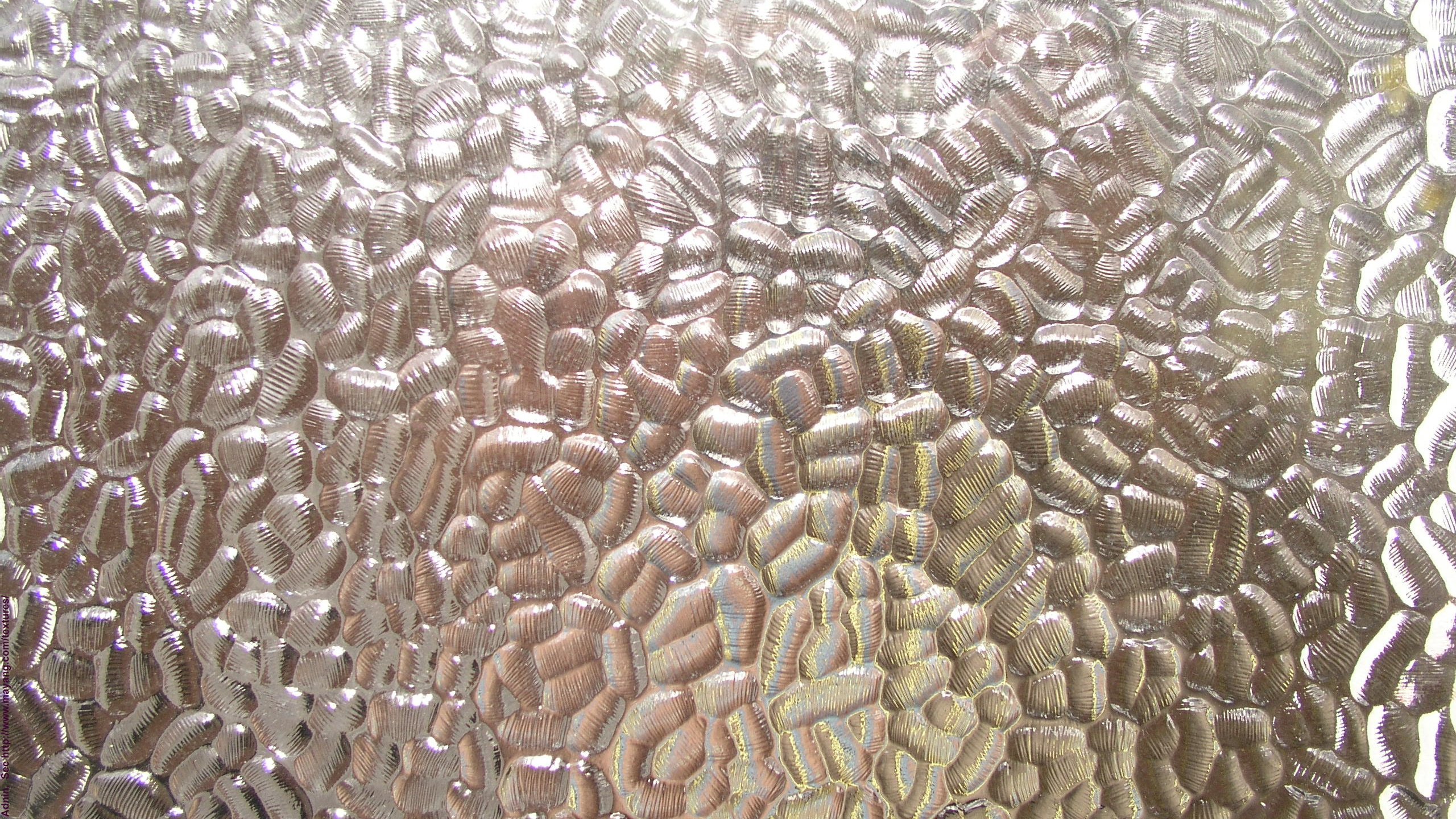 Обои матовое стекло, стекло, окно, узор, беспозвоночных в разрешении 2560x1440