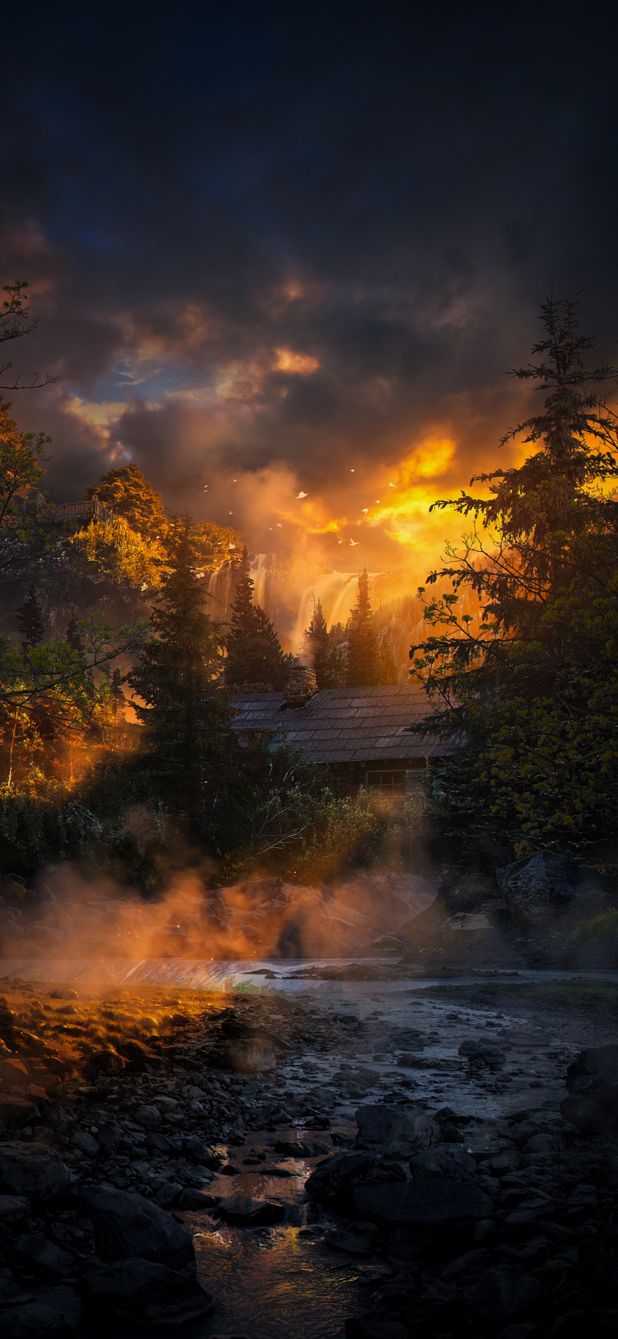 Обои природа, облако, атмосфера, вода, растение в разрешении 1242x2688