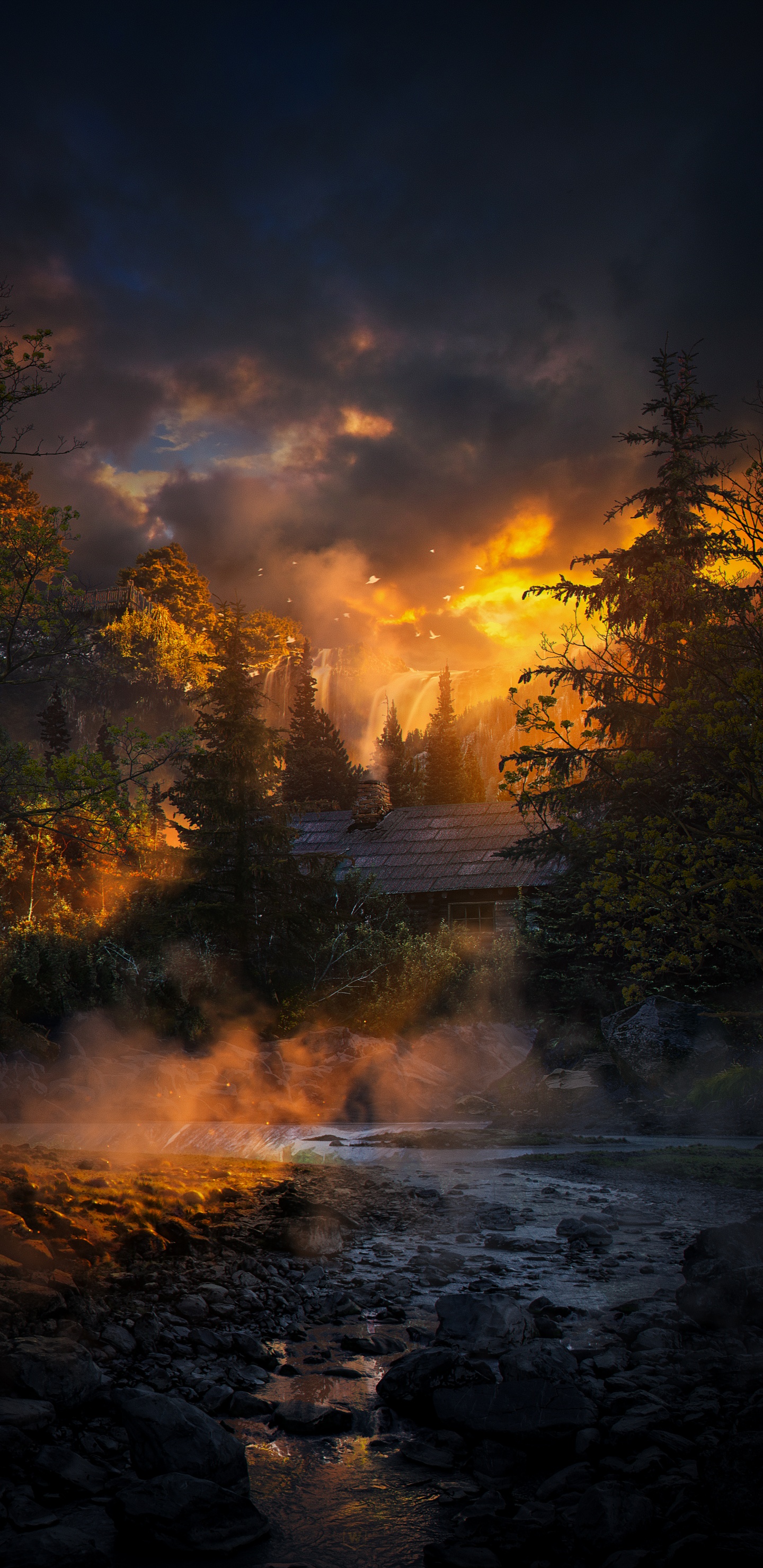 Обои природа, облако, атмосфера, вода, растение в разрешении 1440x2960