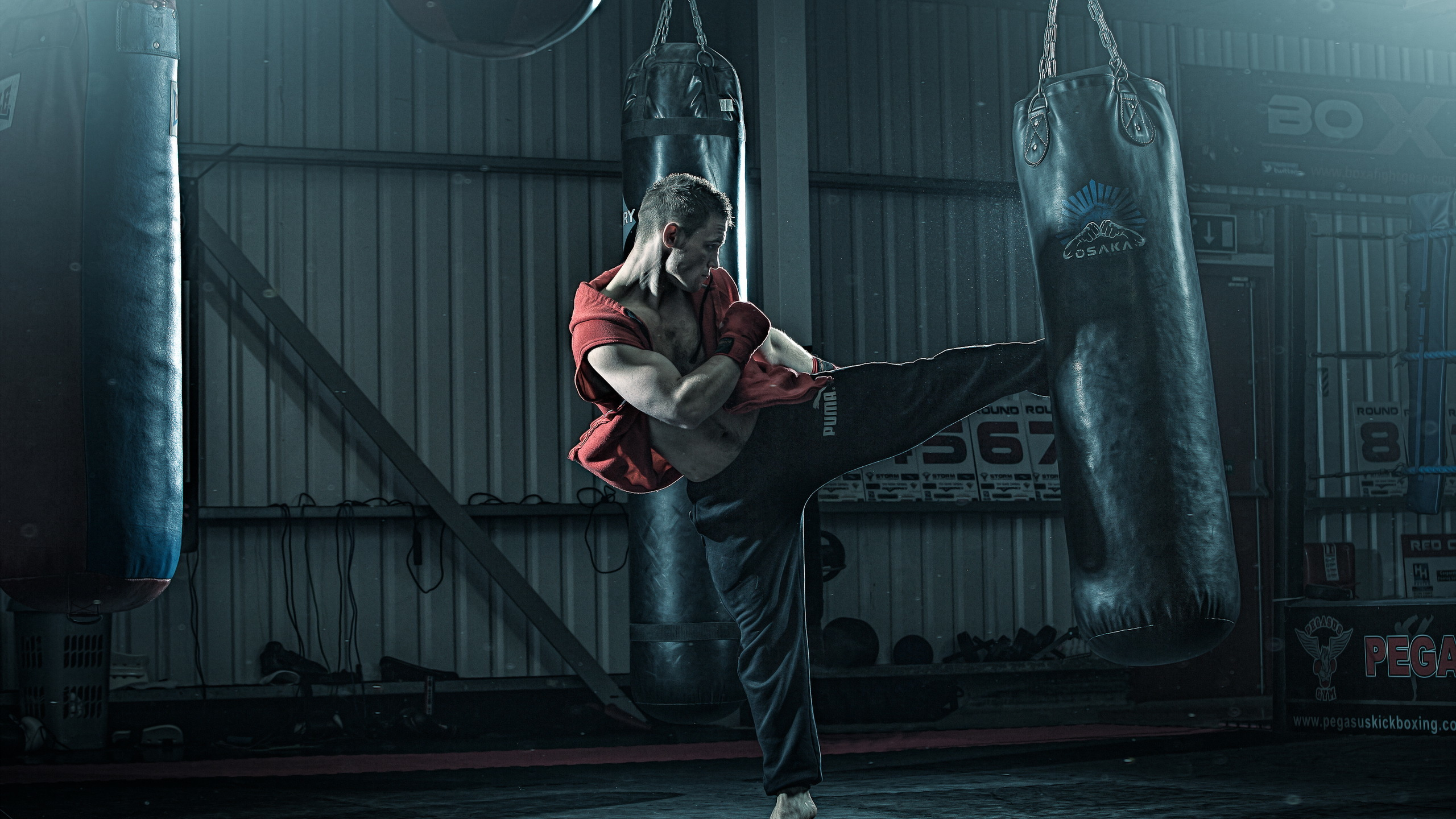 Обои театральное искусство, перформанс, физические упражнения, песни тренировки, видеоэффекты в разрешении 2560x1440