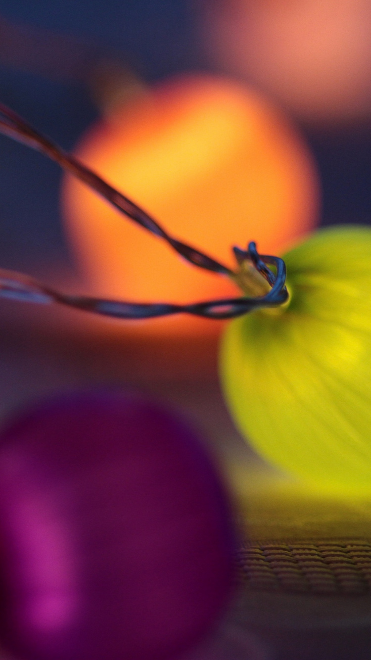 Обои фрукты, зимний сквош, тыквенных, продукция, овощ в разрешении 750x1334