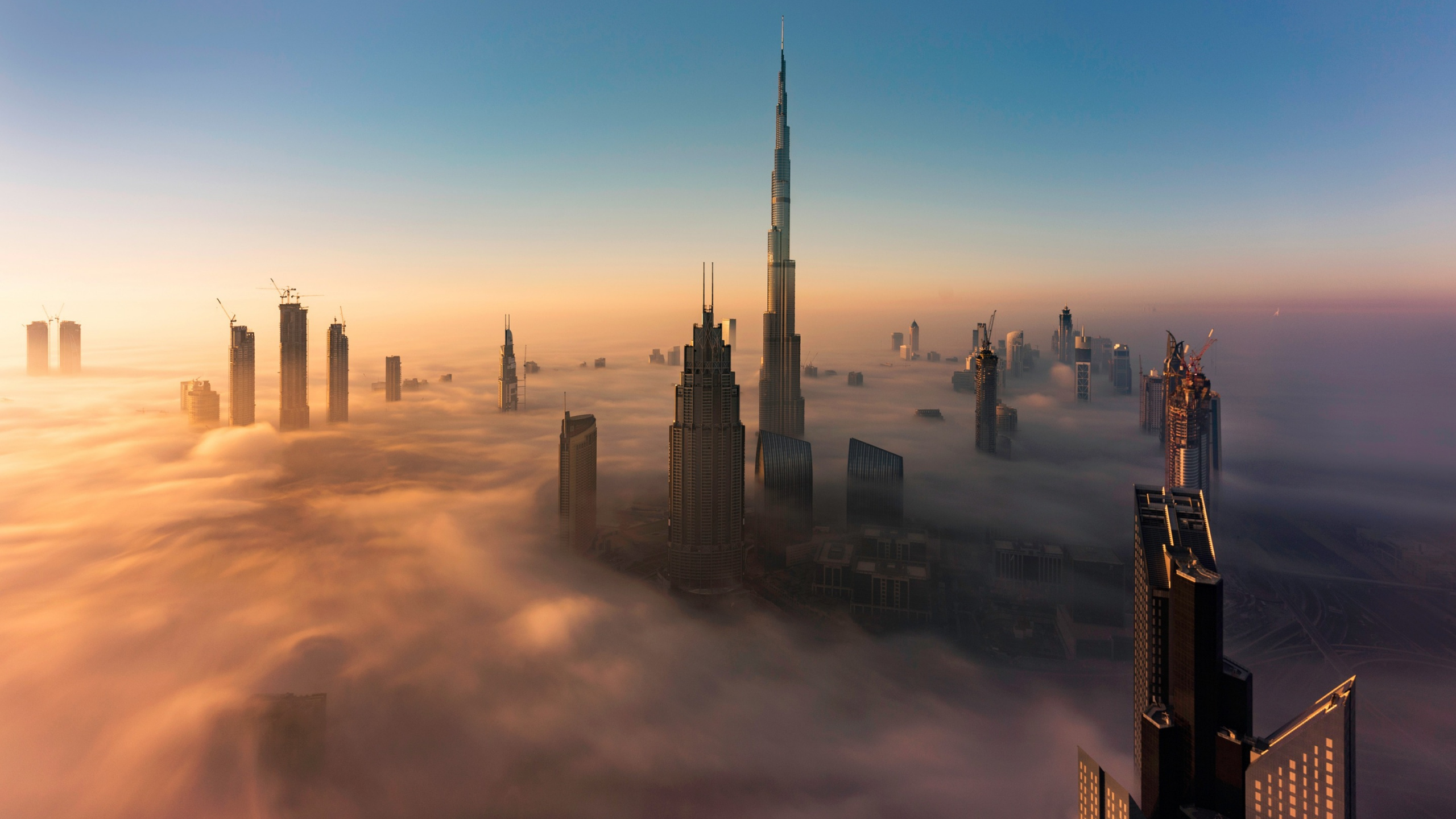 Обои небоскреб, утро, городской пейзаж, атмосфера, метрополия в разрешении 2560x1440