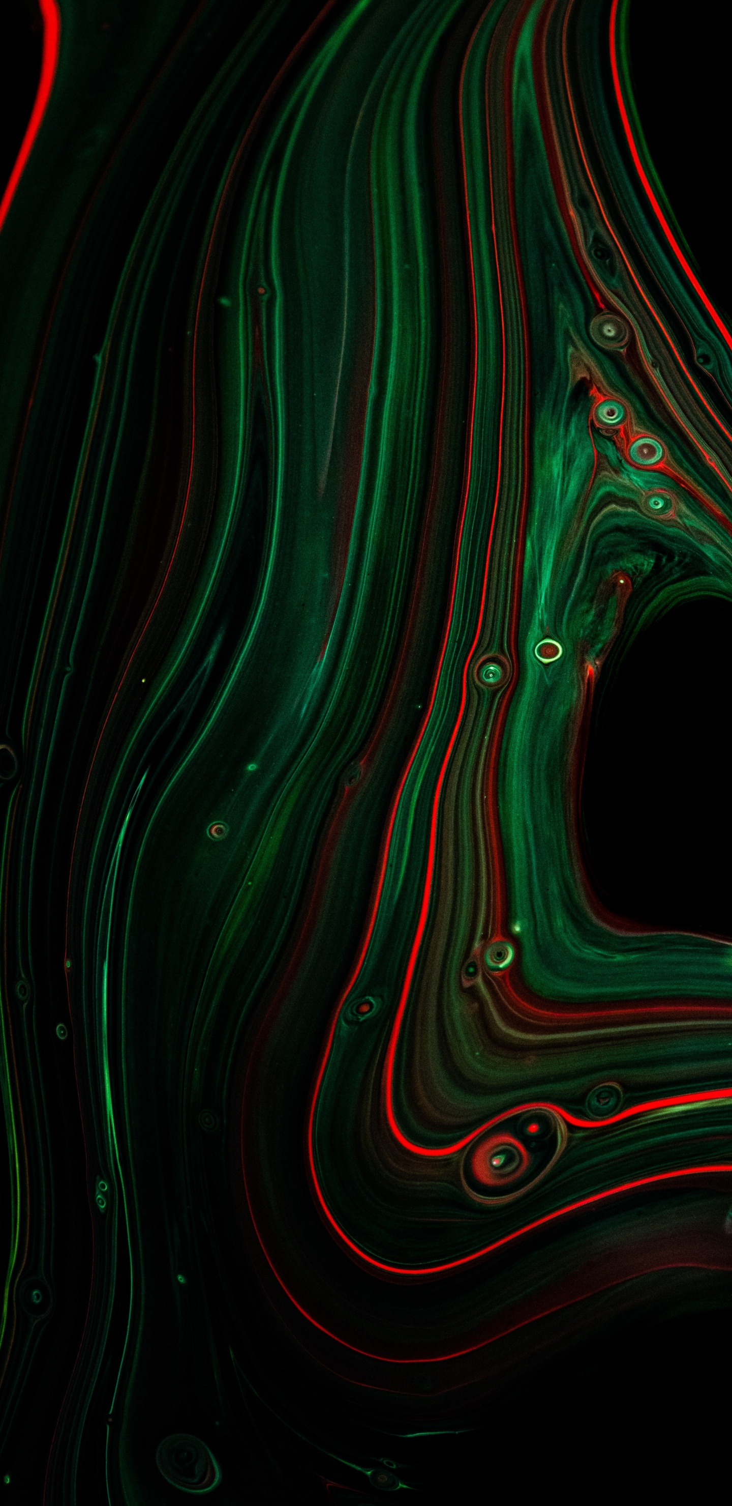 Обои фрактальное искусство, живопись, абстрактное искусство, арт, узор в разрешении 1440x2960