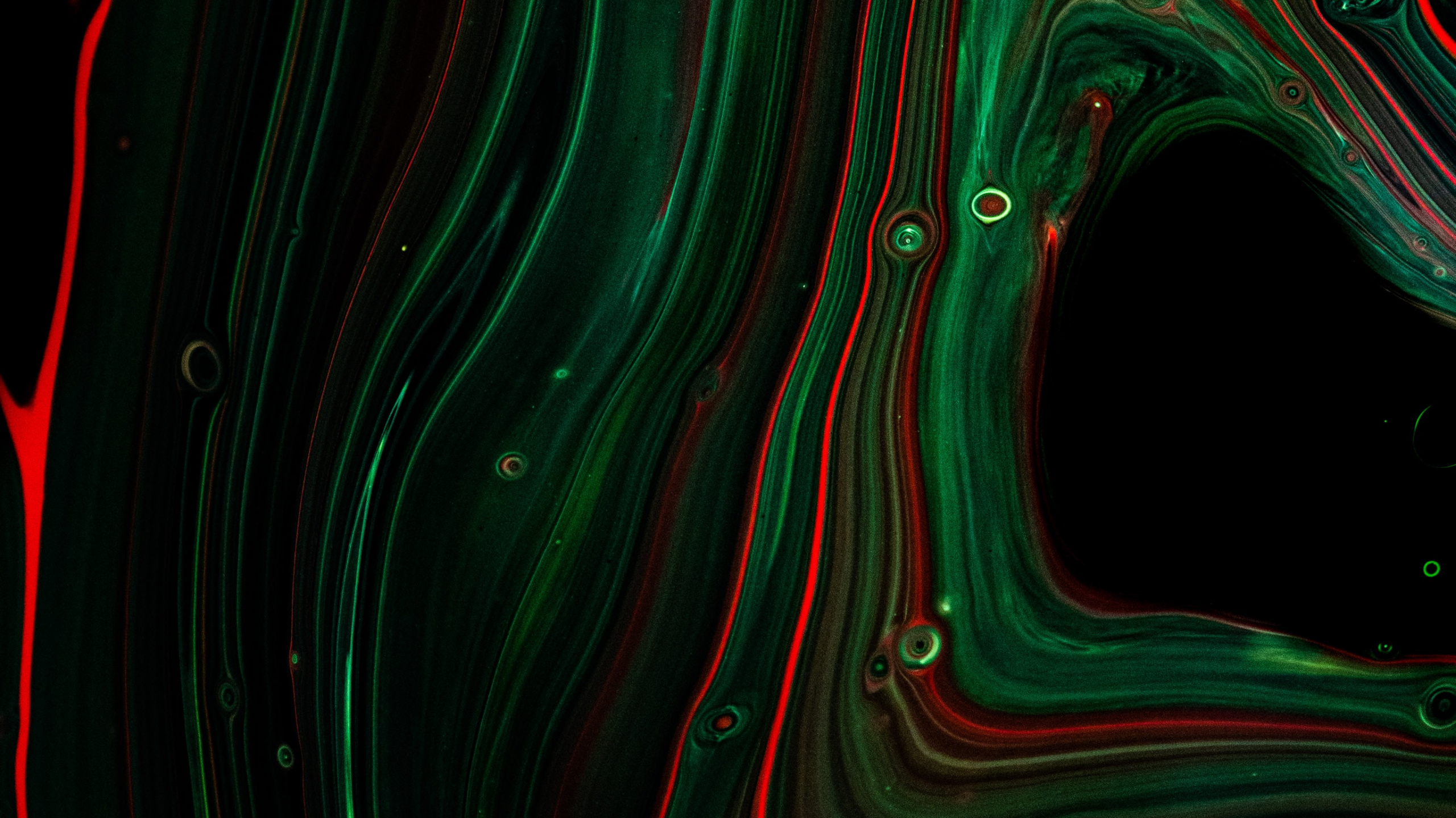 Обои фрактальное искусство, живопись, абстрактное искусство, арт, узор в разрешении 2560x1440