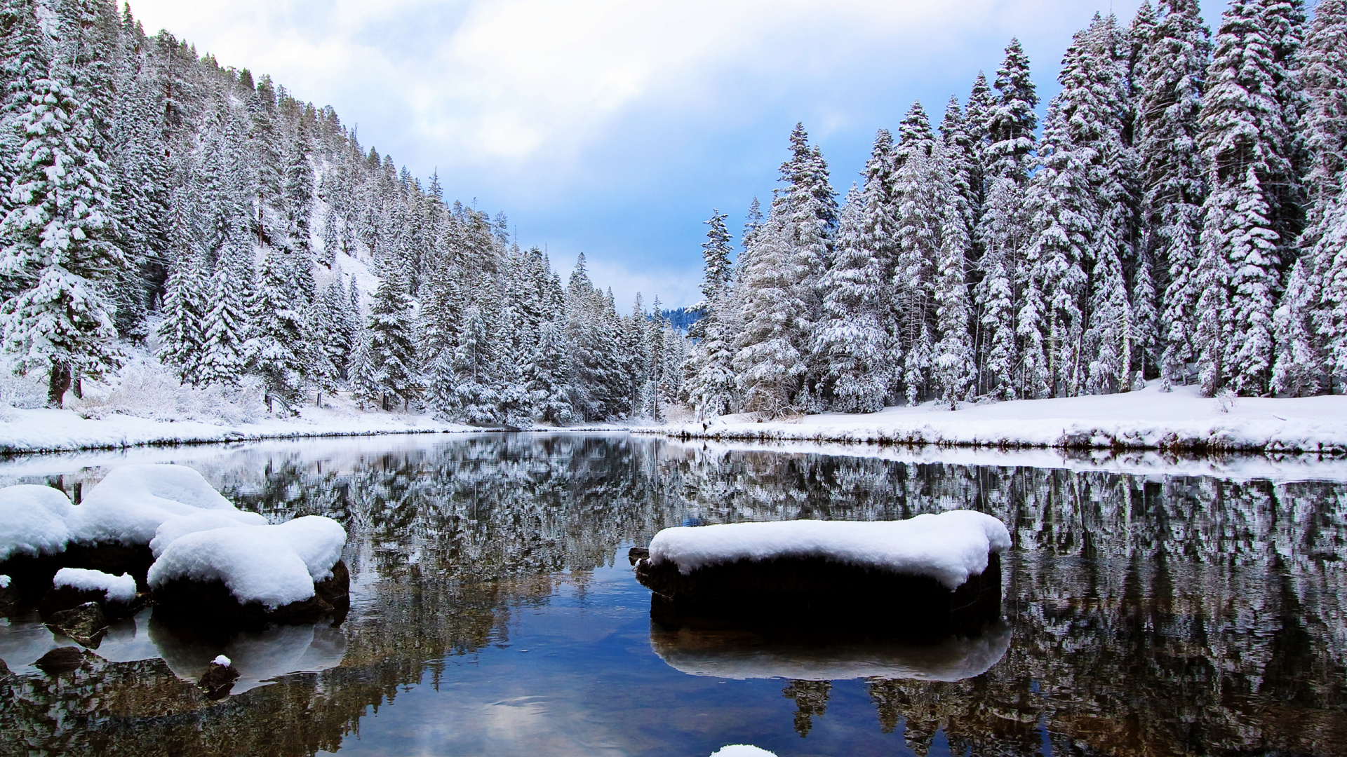 Обои снег, зима, природа, замораживание, дерево в разрешении 1920x1080