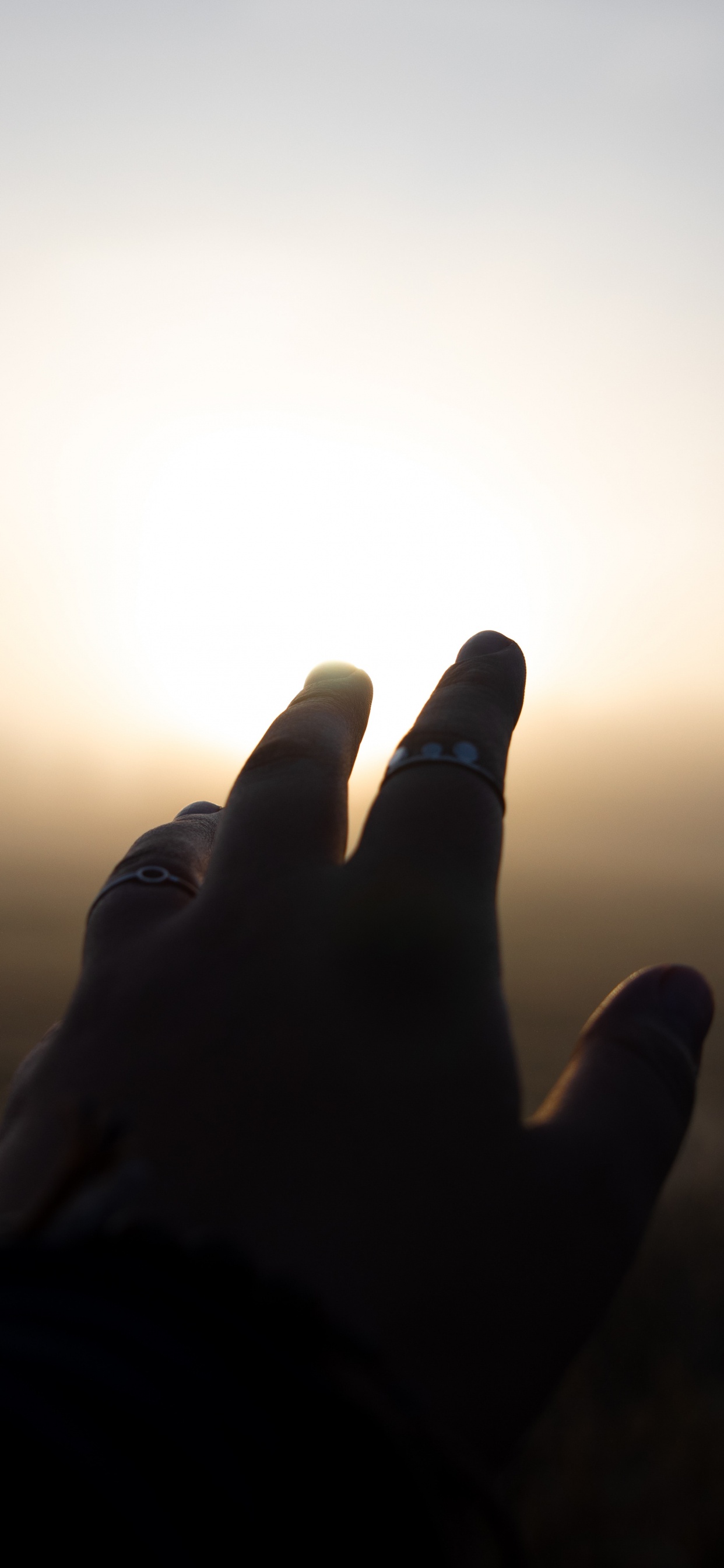 Обои атмосфера, Майами, пресса, книга, синий в разрешении 1242x2688