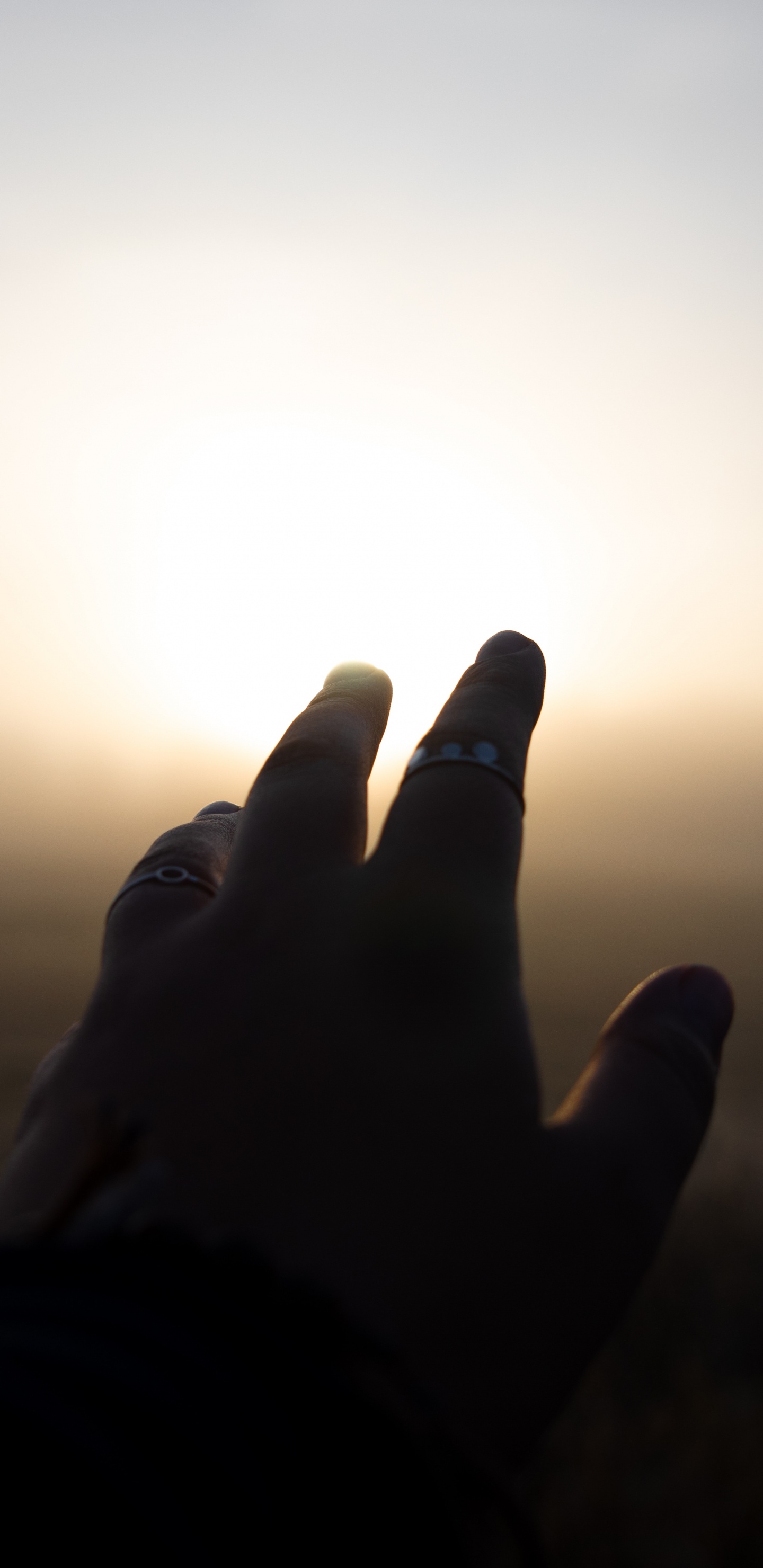 Обои атмосфера, Майами, пресса, книга, синий в разрешении 1440x2960