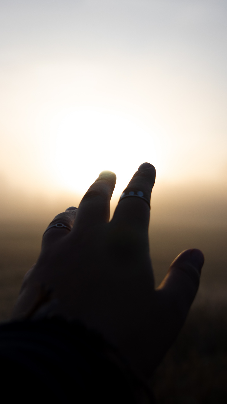 Обои атмосфера, Майами, пресса, книга, синий в разрешении 750x1334