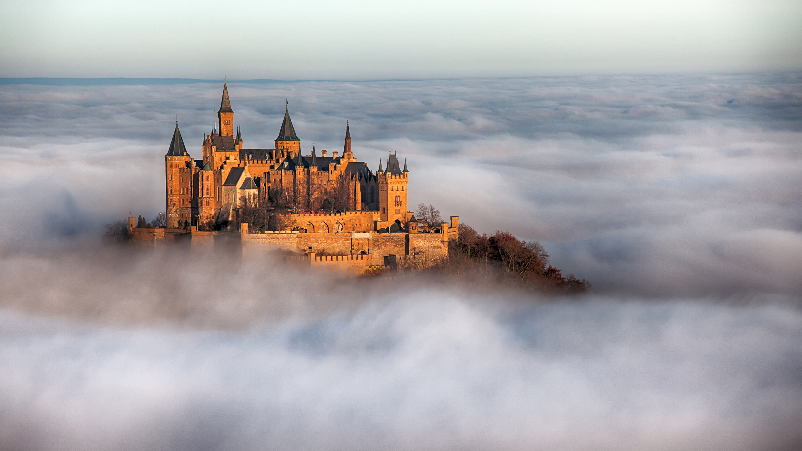 Обои замок гогенцоллерн, замок, облако, небо, Замок Мальборк в разрешении 2560x1440