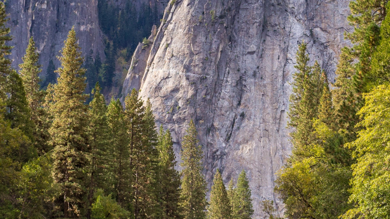 Обои йосемитский национальный парк, национальный парк Гранд титон, Национальный Парк Карлсбадские Пещеры, йосемити, Половина Купола в разрешении 1366x768