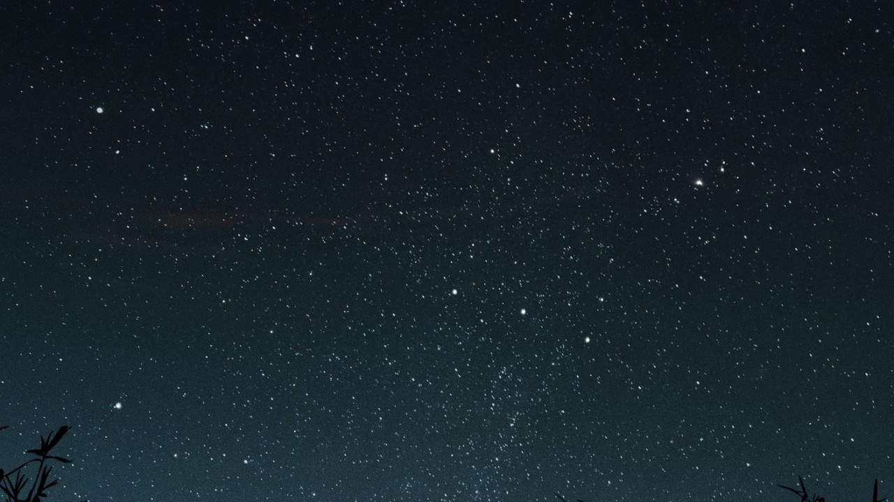 Обои атмосфера, свет, природный ландшафт, ветвь, дерево в разрешении 1280x720