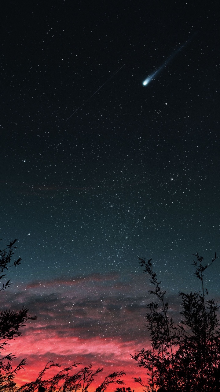 Обои атмосфера, свет, природный ландшафт, ветвь, дерево в разрешении 720x1280