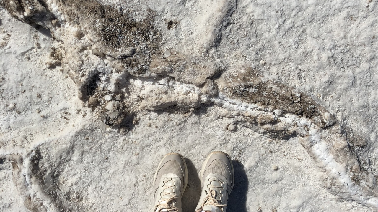 Обои США, Невада, долина смерти, национальный парк долина смерти, рок в разрешении 1280x720