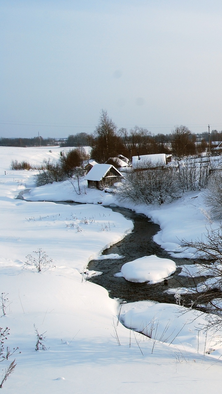 Обои снег, вода, замораживание, отражение, дерево в разрешении 720x1280