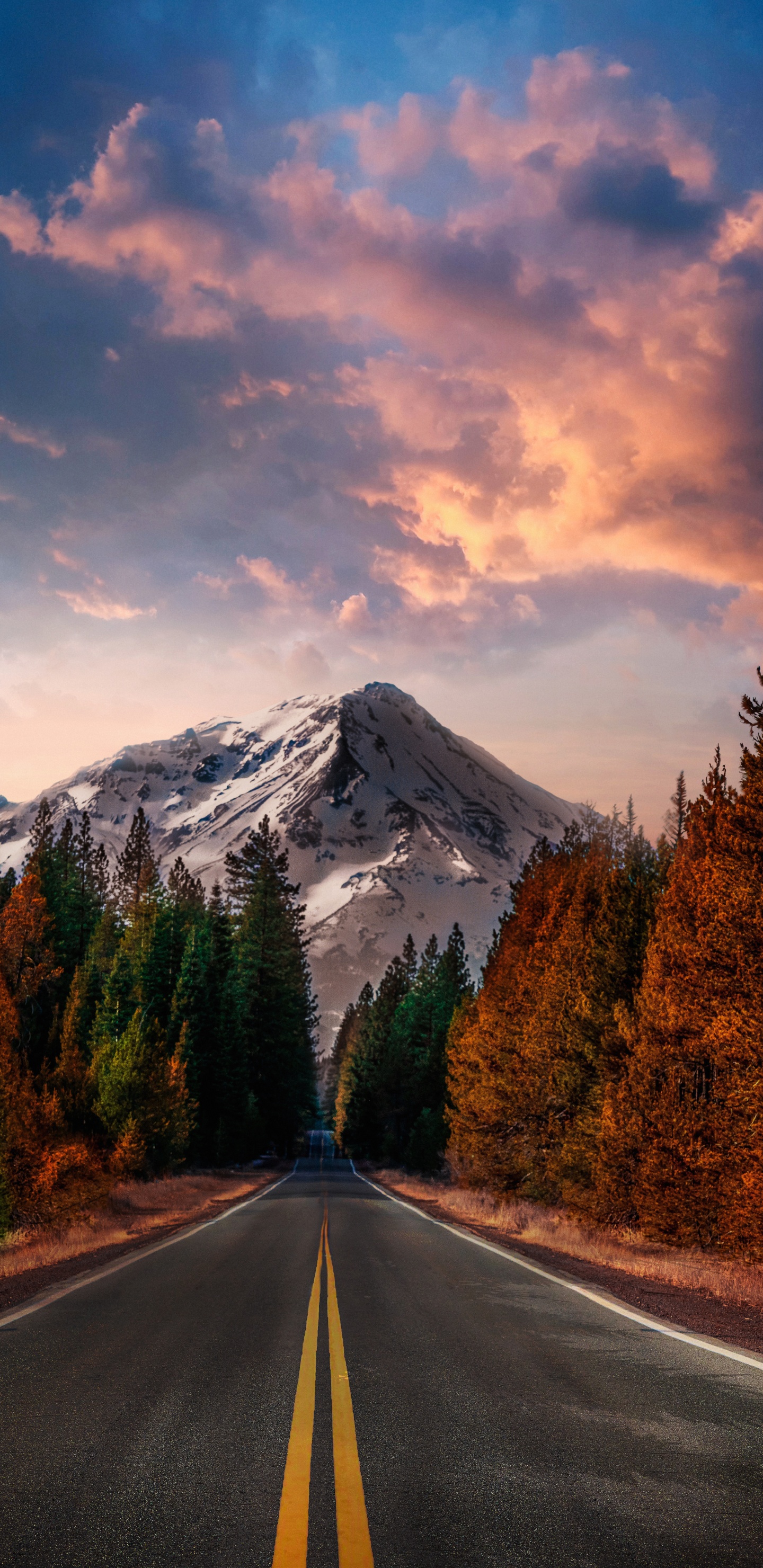 Обои Наруто Узумаки, Саске Учиха, кривая sf к crdoba, Наруто, Сан-Франциско в Кридоба в разрешении 1440x2960