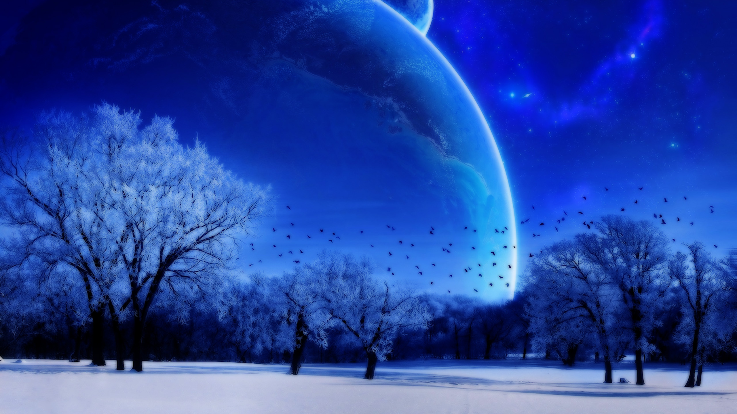 Обои зима, природа, атмосфера, замораживание, ночь в разрешении 2560x1440