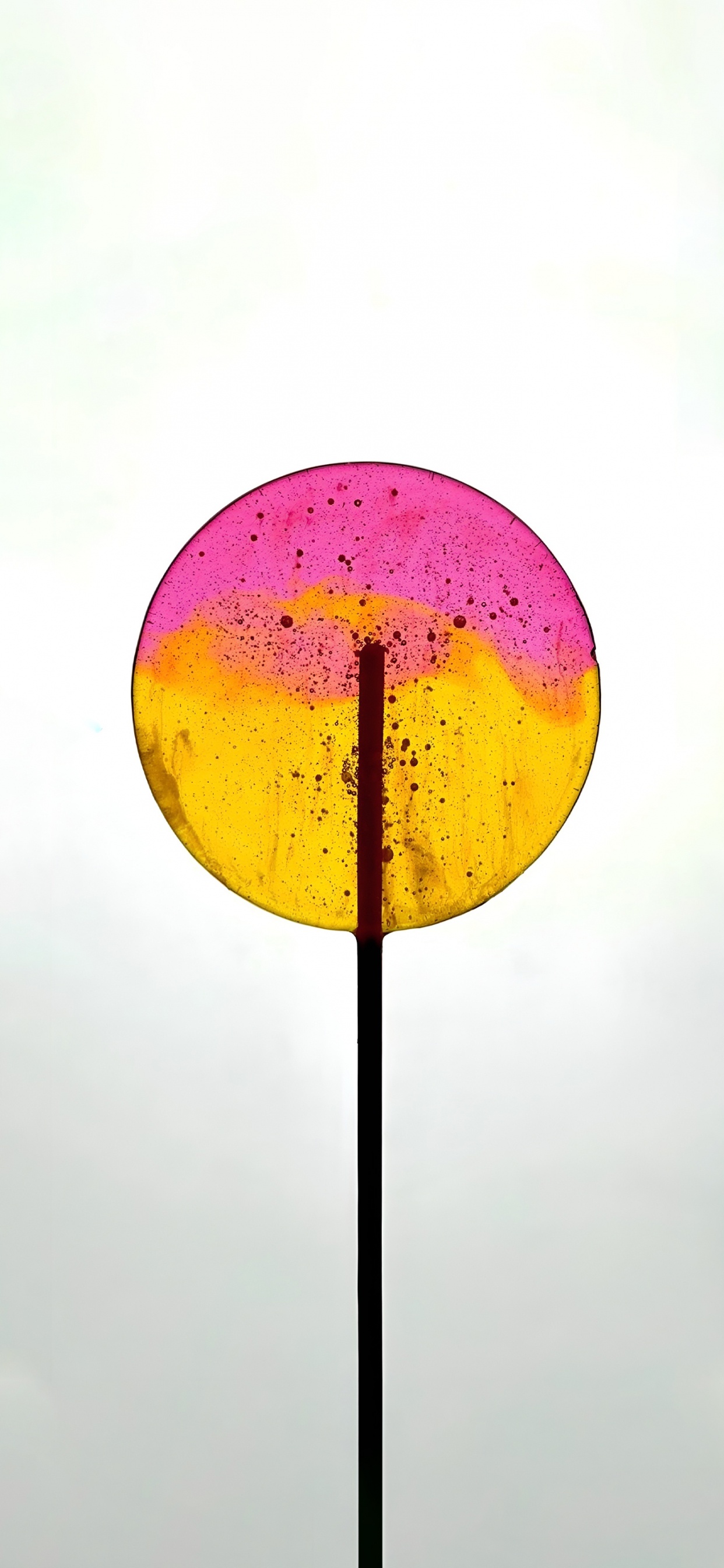 Обои iPhone 14, iPhone 14 Pro, iOS 16, яблоко, красочность в разрешении 1242x2688