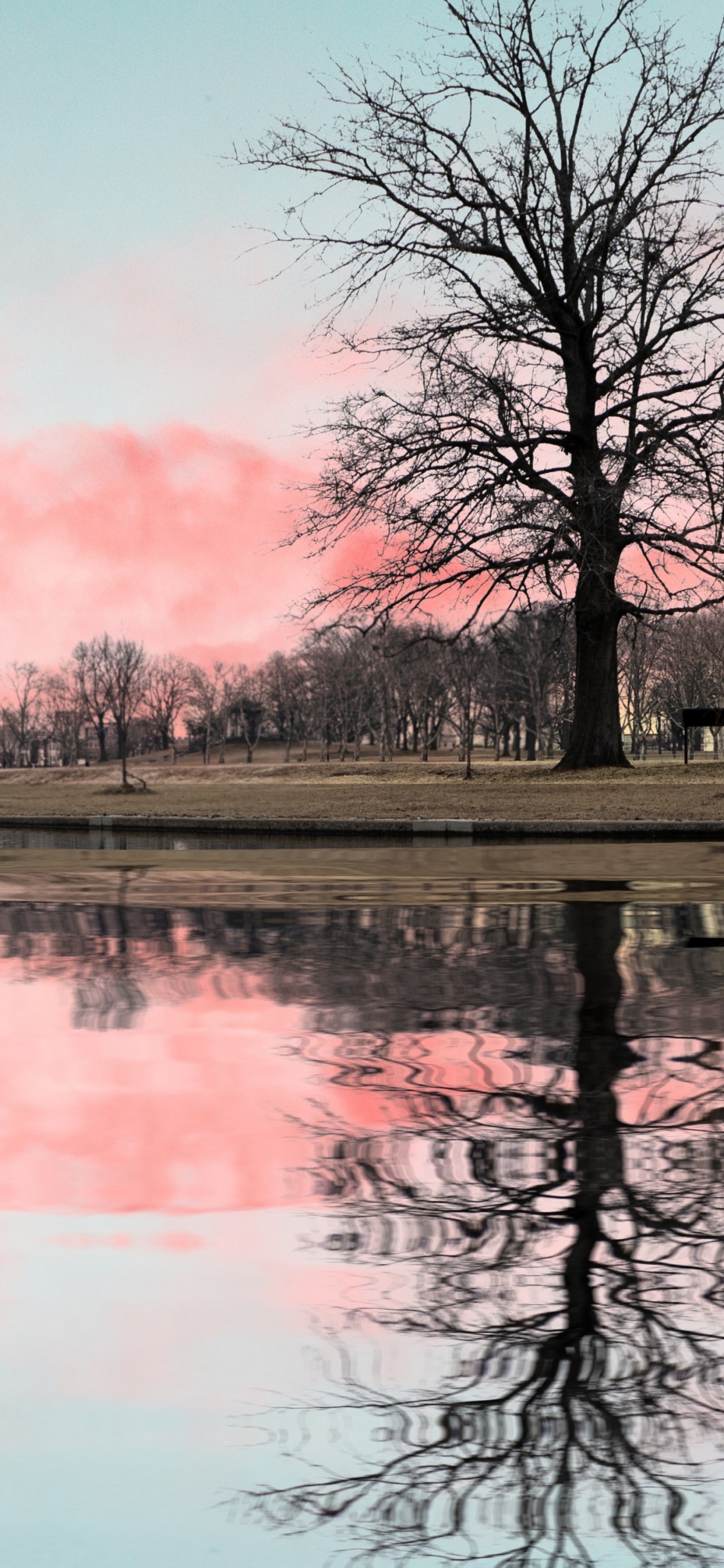 Обои вода, облако, атмосфера, дневное время, птица в разрешении 1125x2436