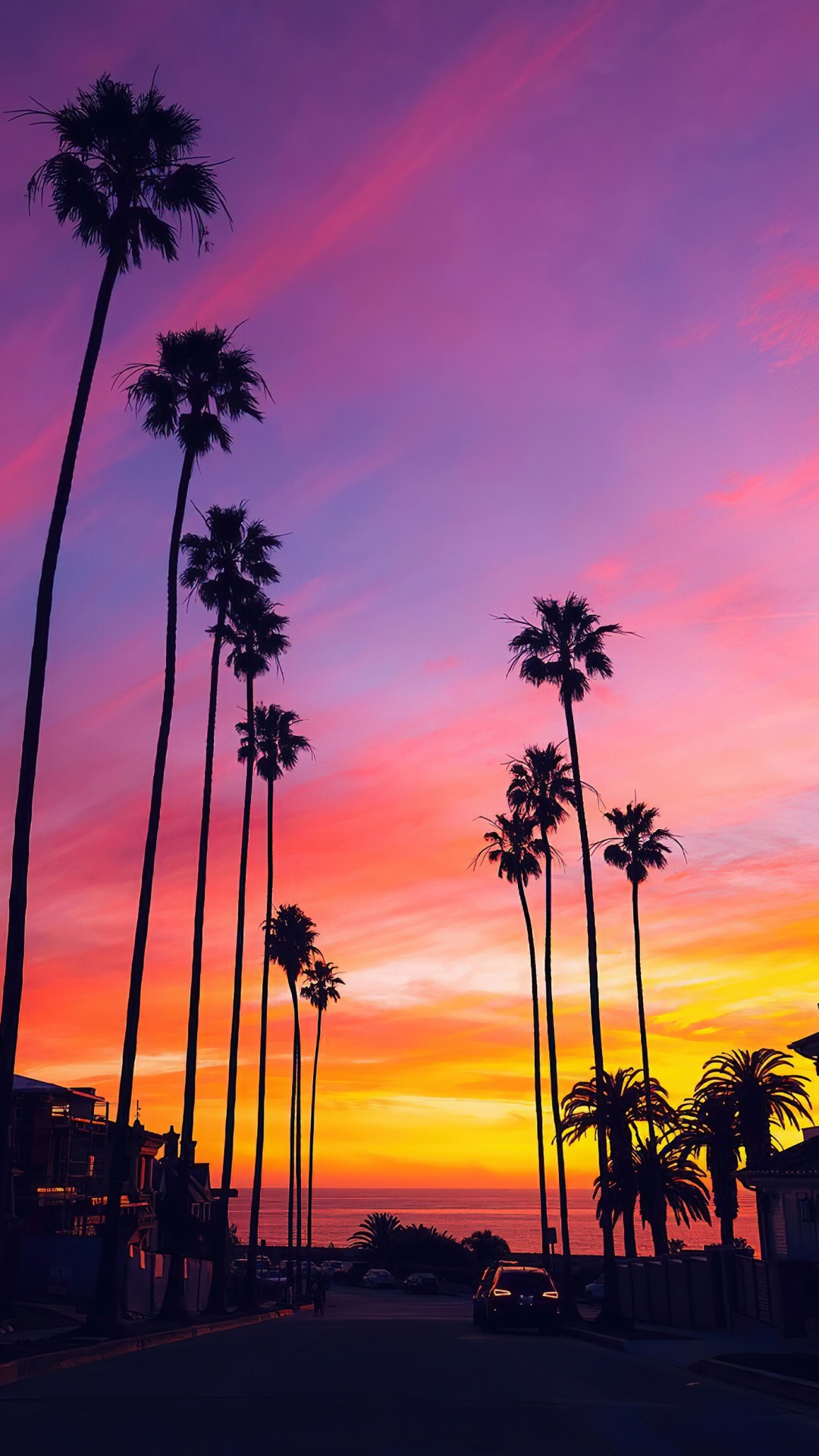 Обои пальмовые рощи, облако, атмосфера, растение, дерево в разрешении 1080x1920