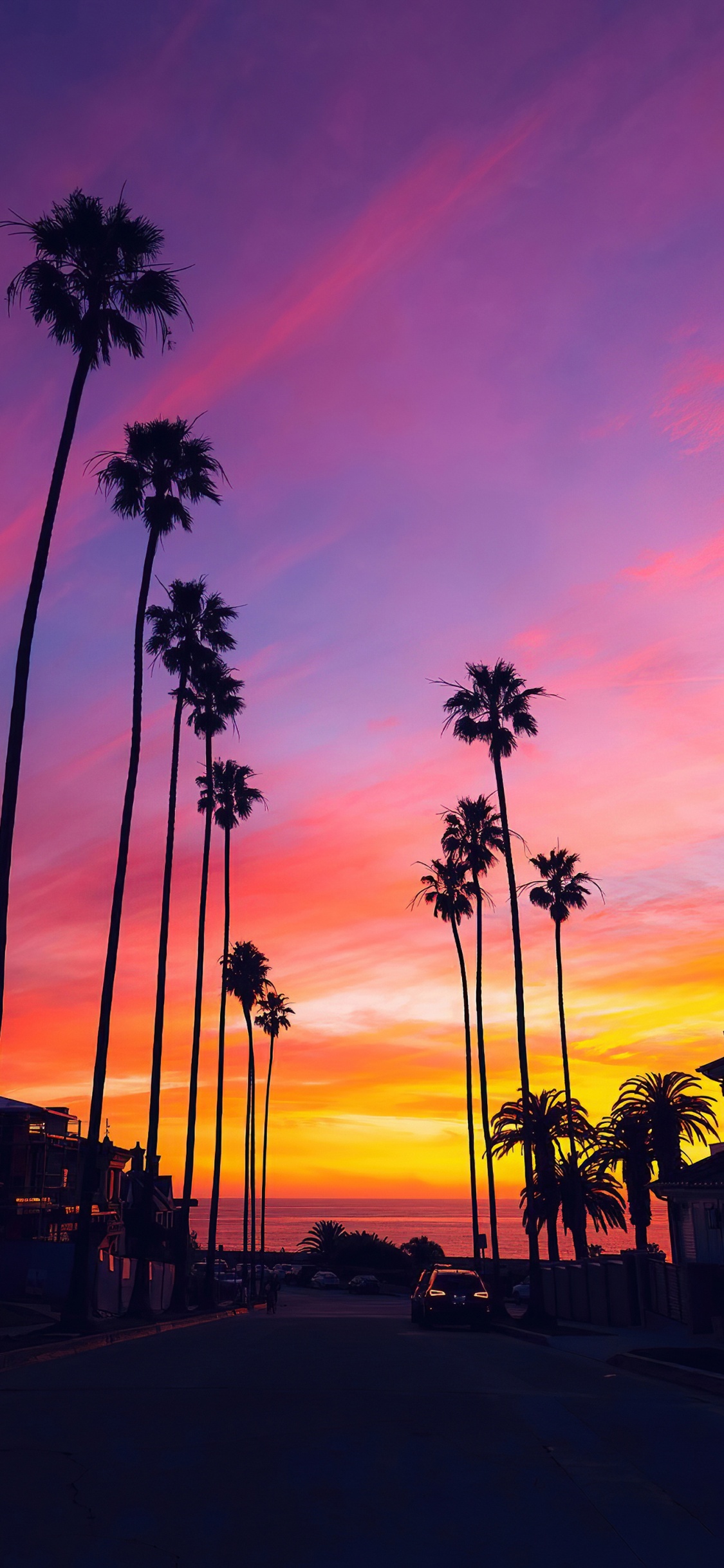 Обои пальмовые рощи, облако, атмосфера, растение, дерево в разрешении 1125x2436