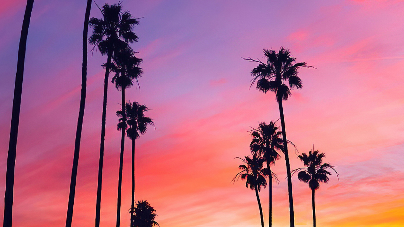 Обои пальмовые рощи, облако, атмосфера, растение, дерево в разрешении 1366x768