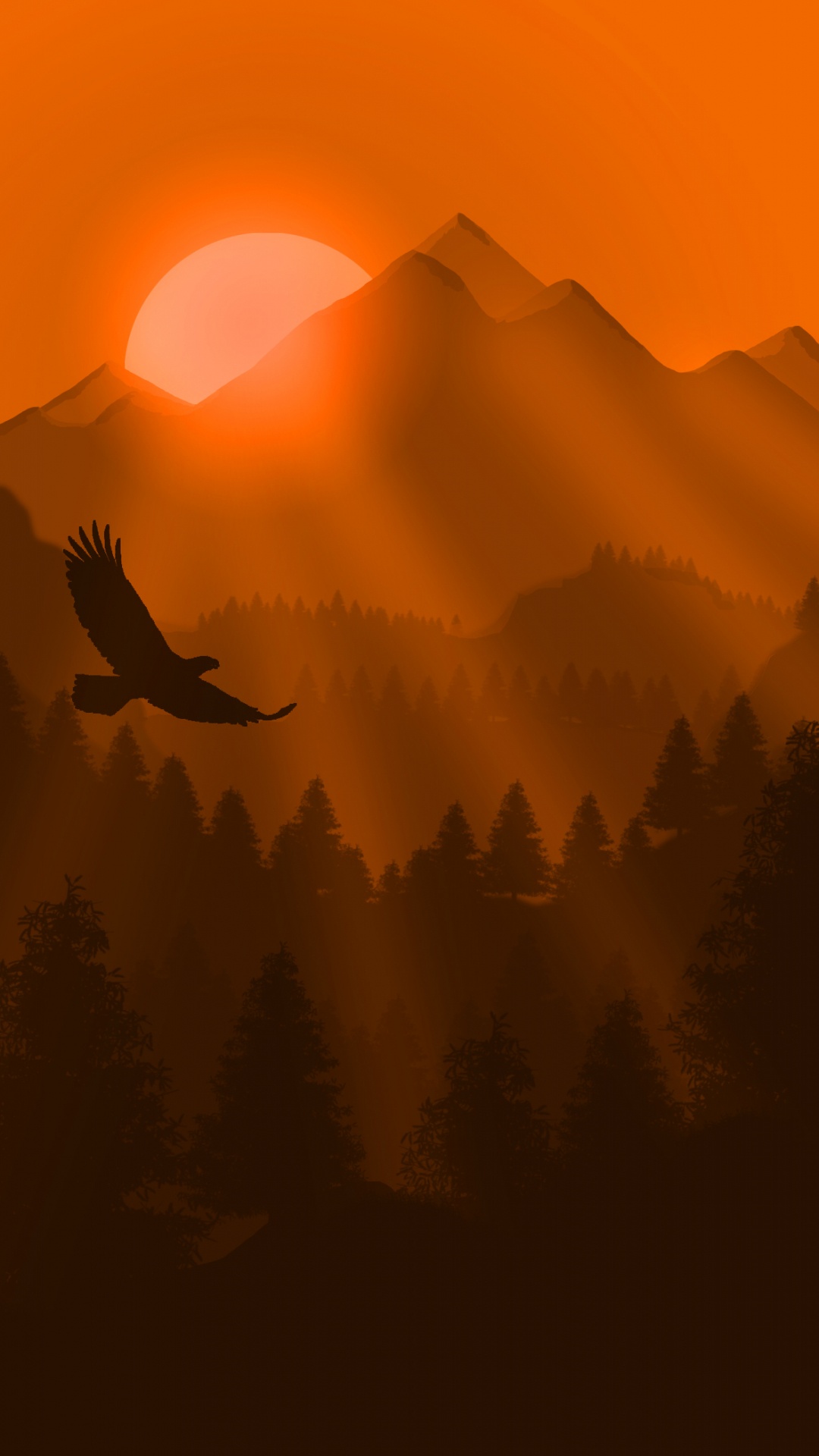 Обои природа, Апельсин, восход солнца, природный ландшафт, утро в разрешении 1080x1920