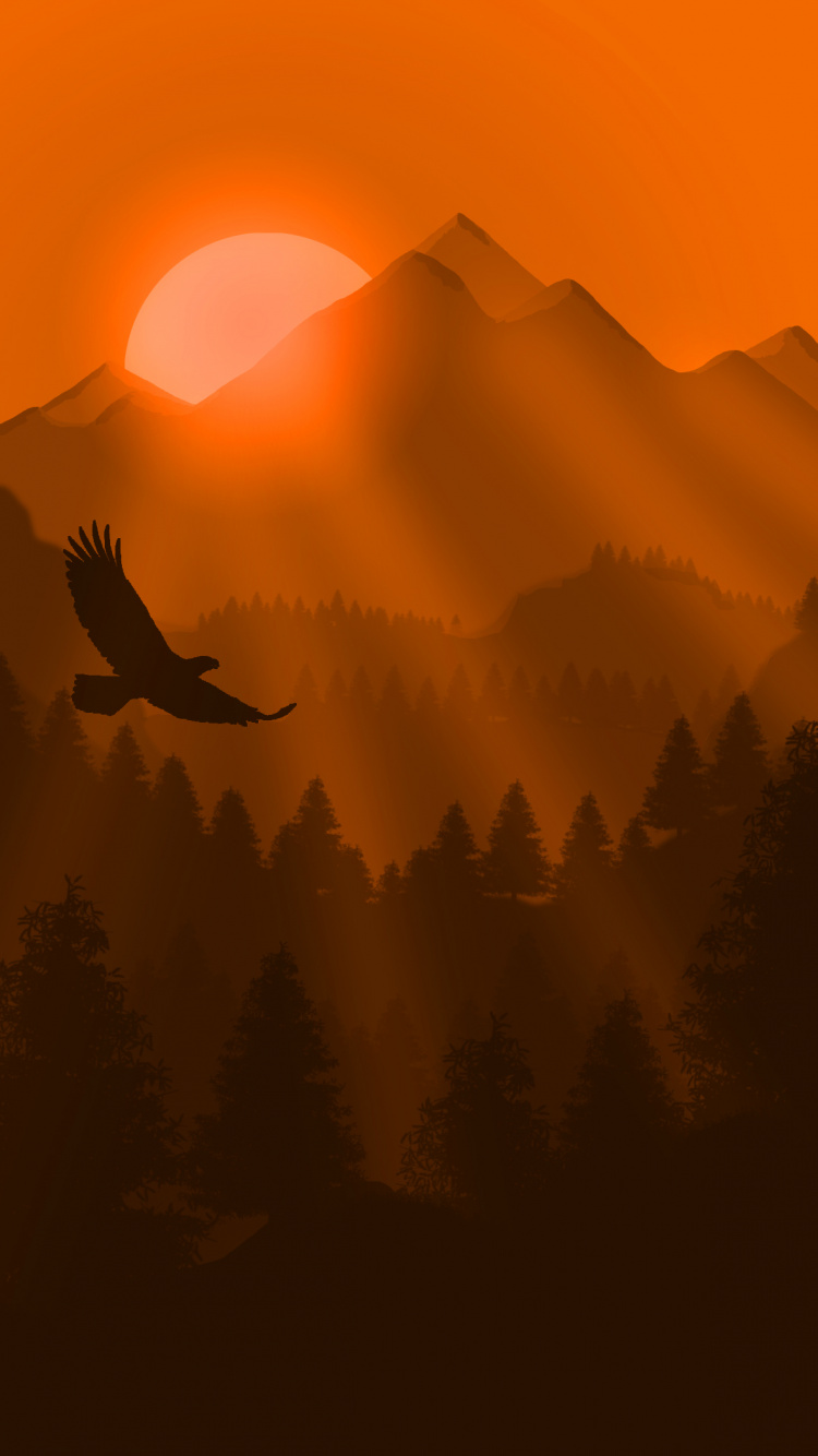 Обои природа, Апельсин, восход солнца, природный ландшафт, утро в разрешении 750x1334