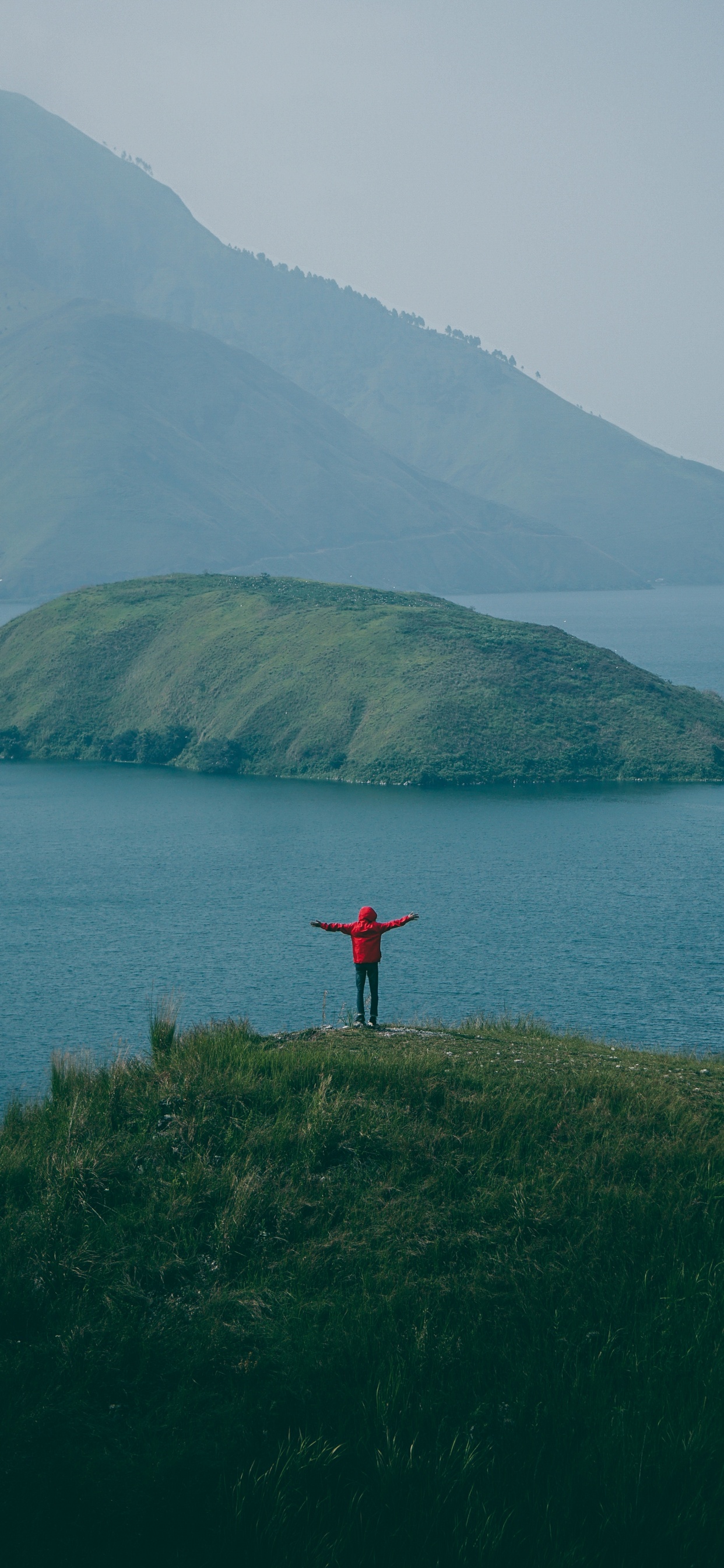 Обои море, зеленый, побережье, холм, гора в разрешении 1242x2688