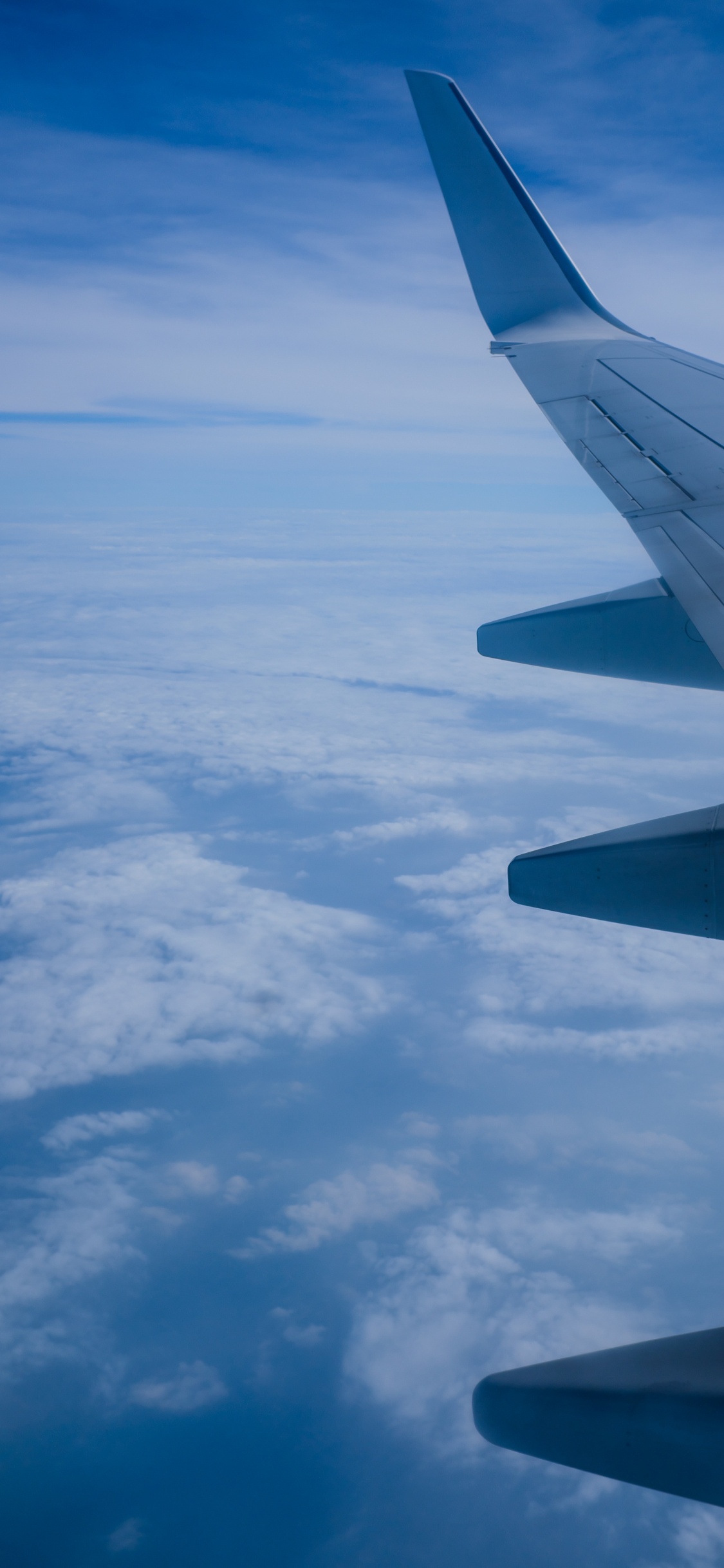 Обои авиация, небо, microsoft azure, Аэробус, авиакомпания в разрешении 1125x2436