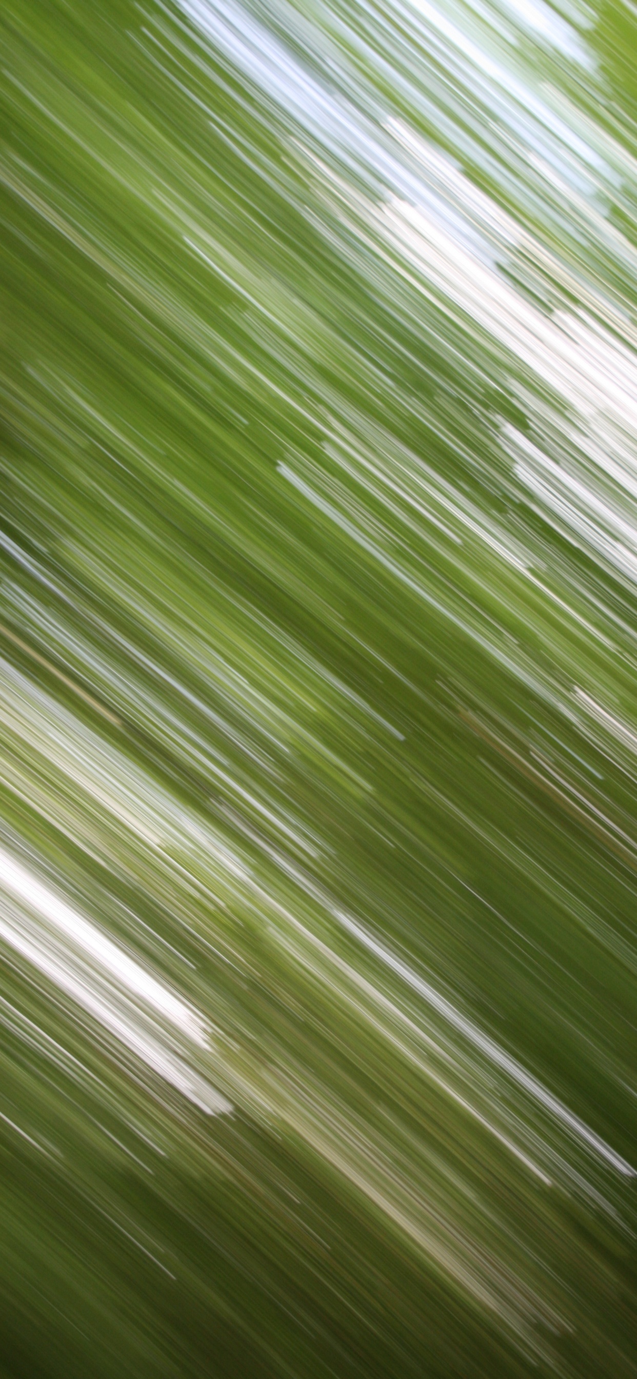 Обои зеленый, лист, линия, растение, трава в разрешении 1242x2688
