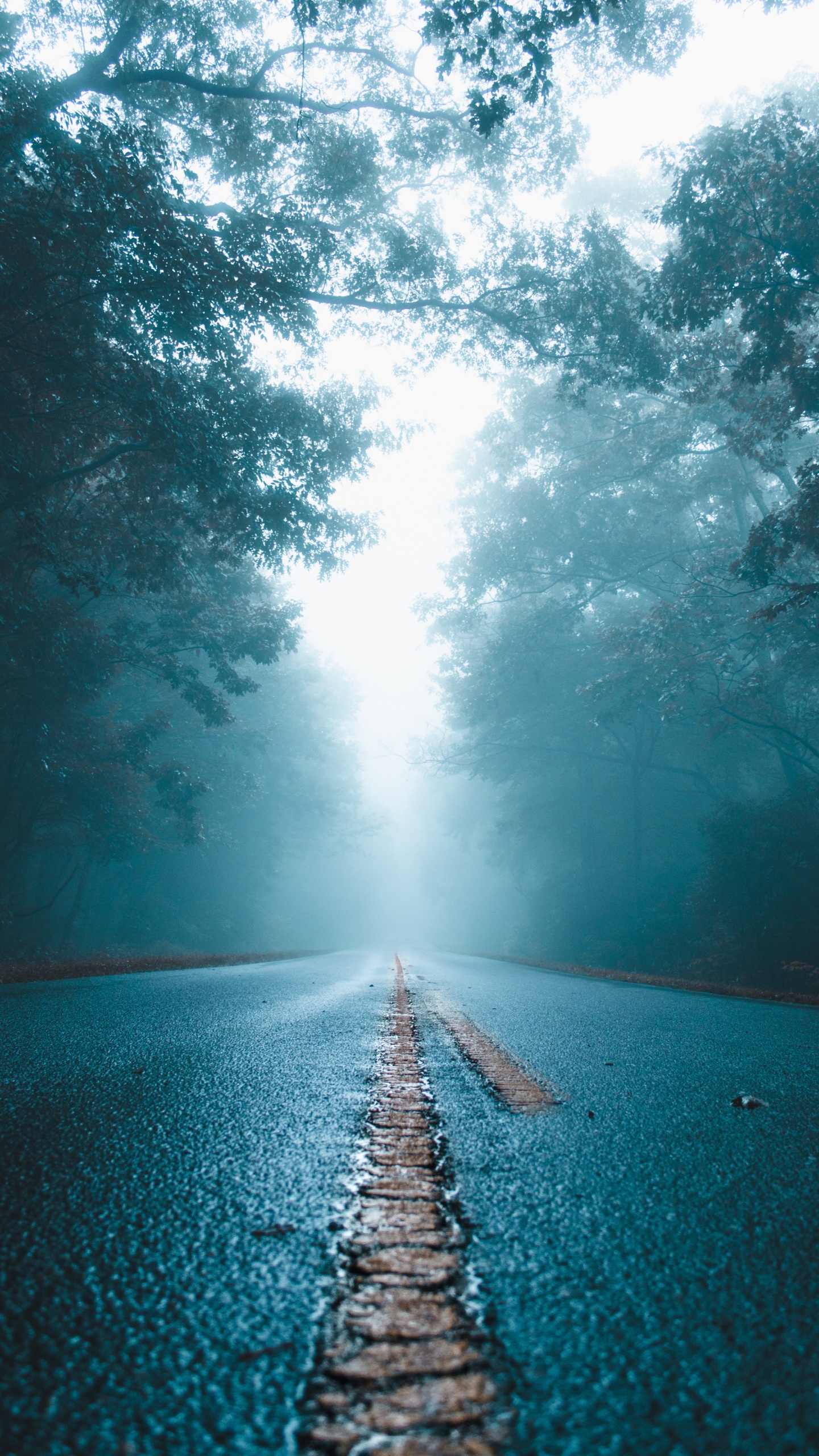 Обои синий, вода, природа, природный ландшафт, свет в разрешении 1440x2560