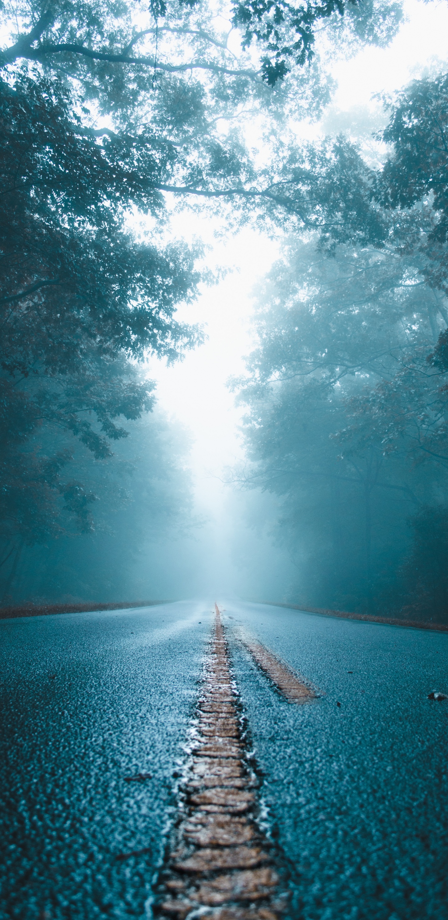 Обои синий, вода, природа, природный ландшафт, свет в разрешении 1440x2960