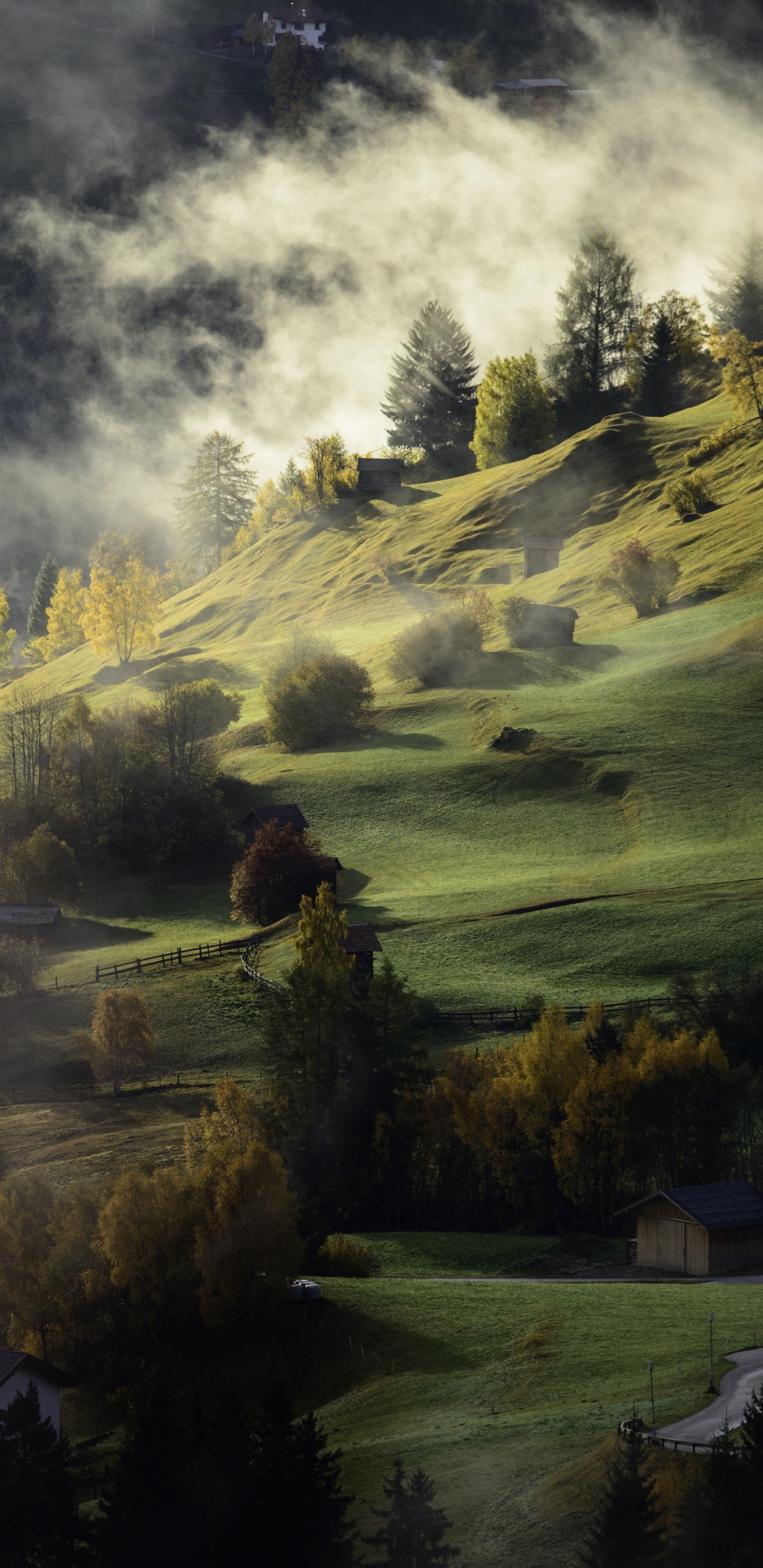 Обои облако, растение, атмосфера, гора, природный ландшафт в разрешении 1440x2960